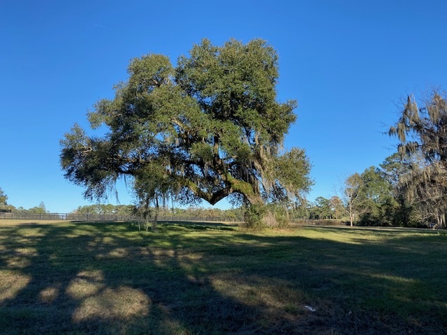 Lot 4 Anhinga Farms Road Tallahassee, FL 32309 - Photo 12 of 12 Gallery Image 12