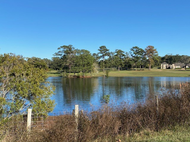 Lot 4 Anhinga Farms Road Tallahassee, FL 32309 - Photo 6 of 12 Gallery Image 6