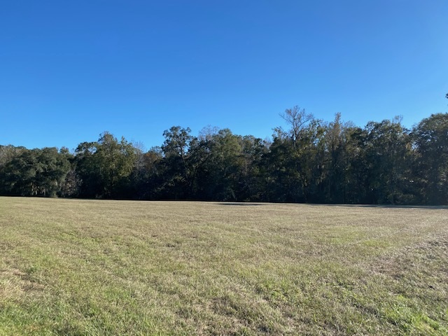 Lot 4 Anhinga Farms Road Tallahassee, FL 32309 - Photo 9 of 12 Gallery Image 9