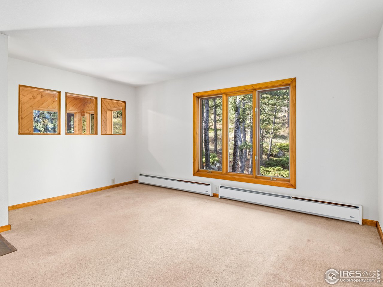 255 Apache Road Lyons, CO 80540 - Photo 12 of 33 Living room