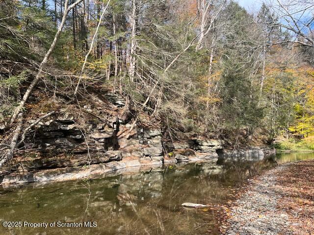 358 Barney Hollow Road Nicholson, PA 18446 - Photo 2 of 61 IMG_3242