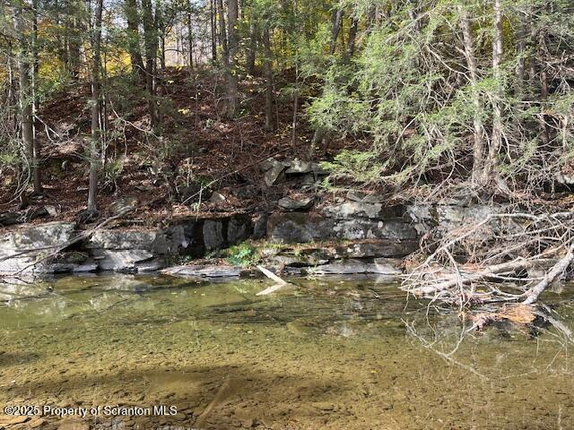 358 Barney Hollow Road Nicholson, PA 18446 - Photo 48 of 61 IMG_3243