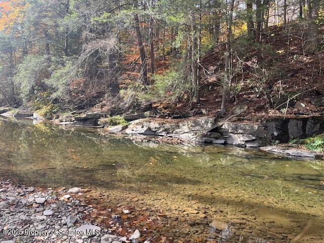 358 Barney Hollow Road Nicholson, PA 18446 - Photo 49 of 61 IMG_3244