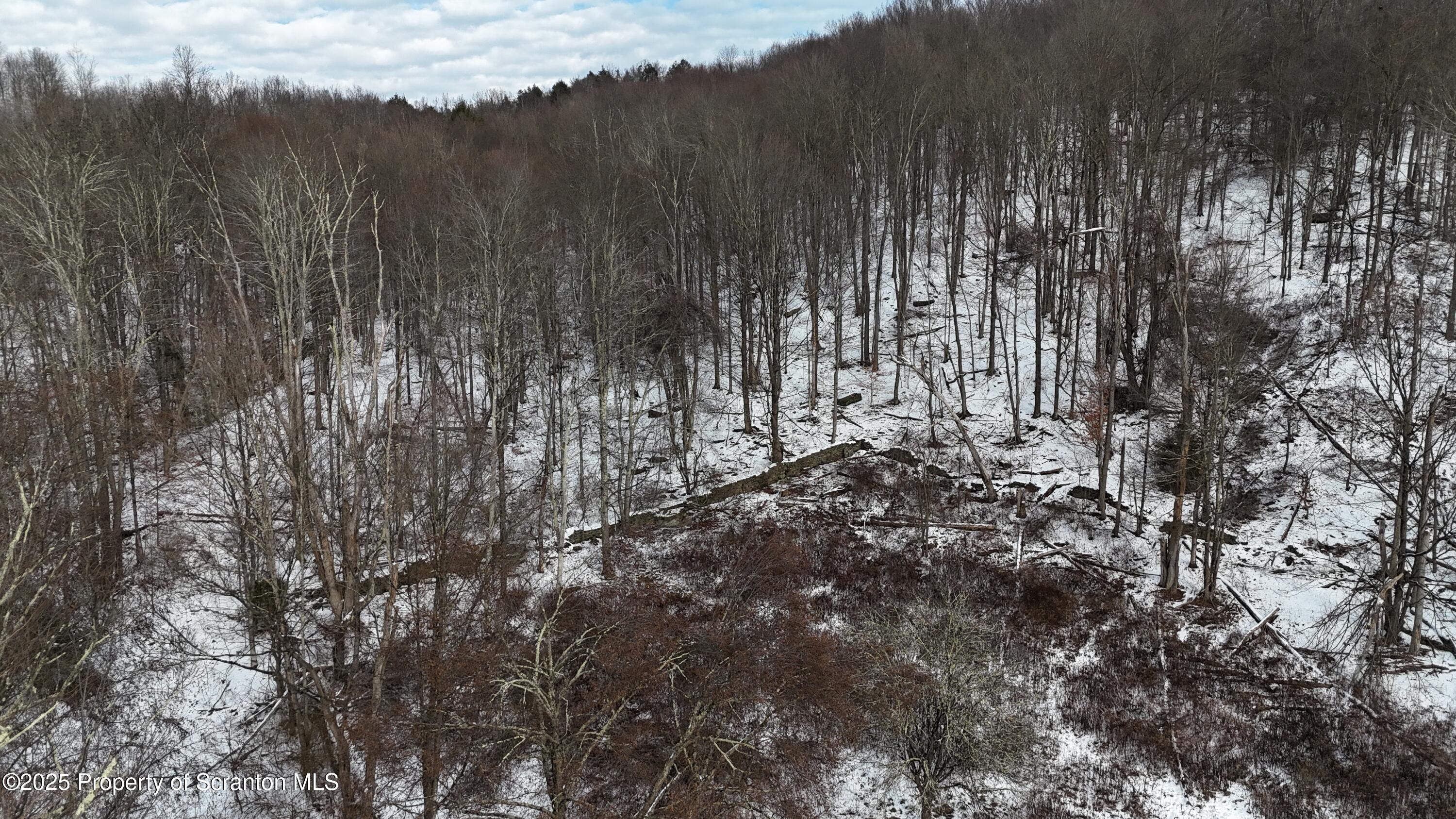 358 Barney Hollow Road Nicholson, PA 18446 - Photo 50 of 61 a view of a yard with trees in the background