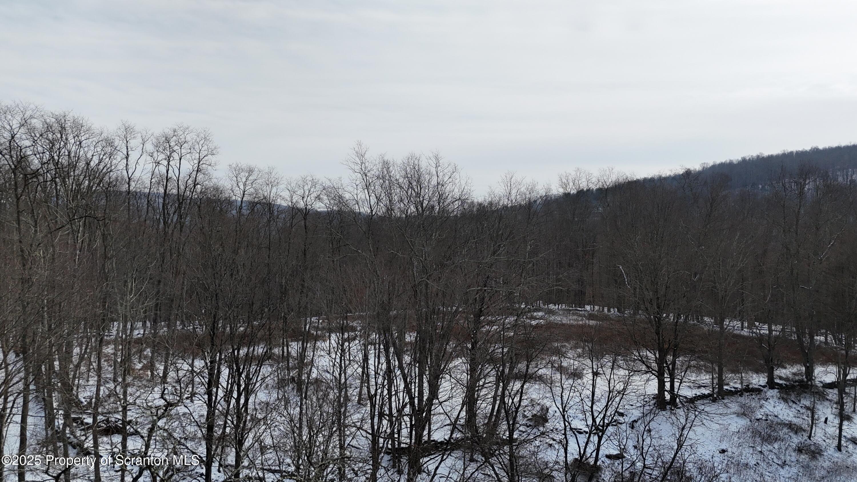 358 Barney Hollow Road Nicholson, PA 18446 - Photo 54 of 61 DJI_20250316021404_0012_D