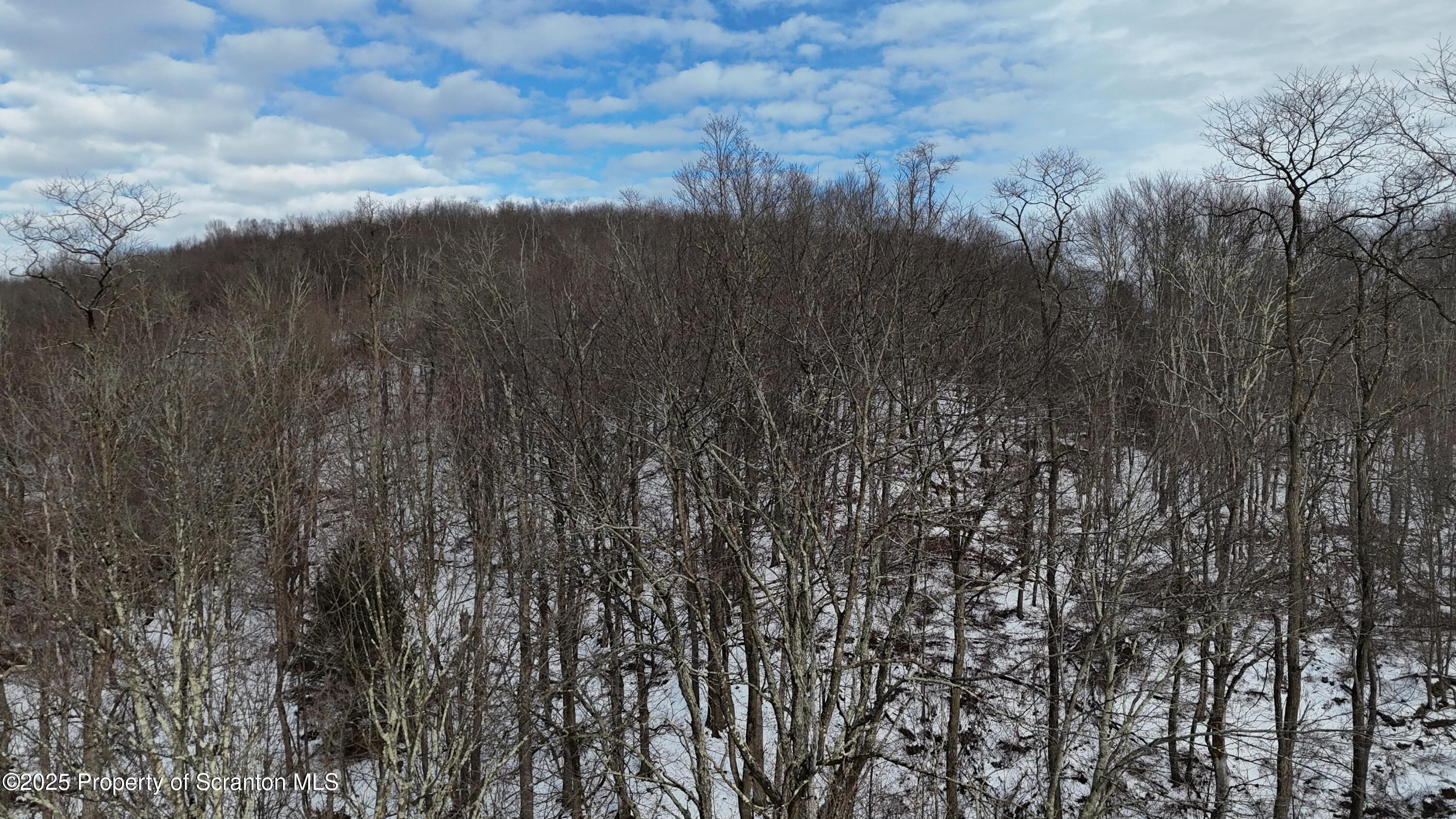 358 Barney Hollow Road Nicholson, PA 18446 - Photo 55 of 61 DJI_20250316021406_0013_D