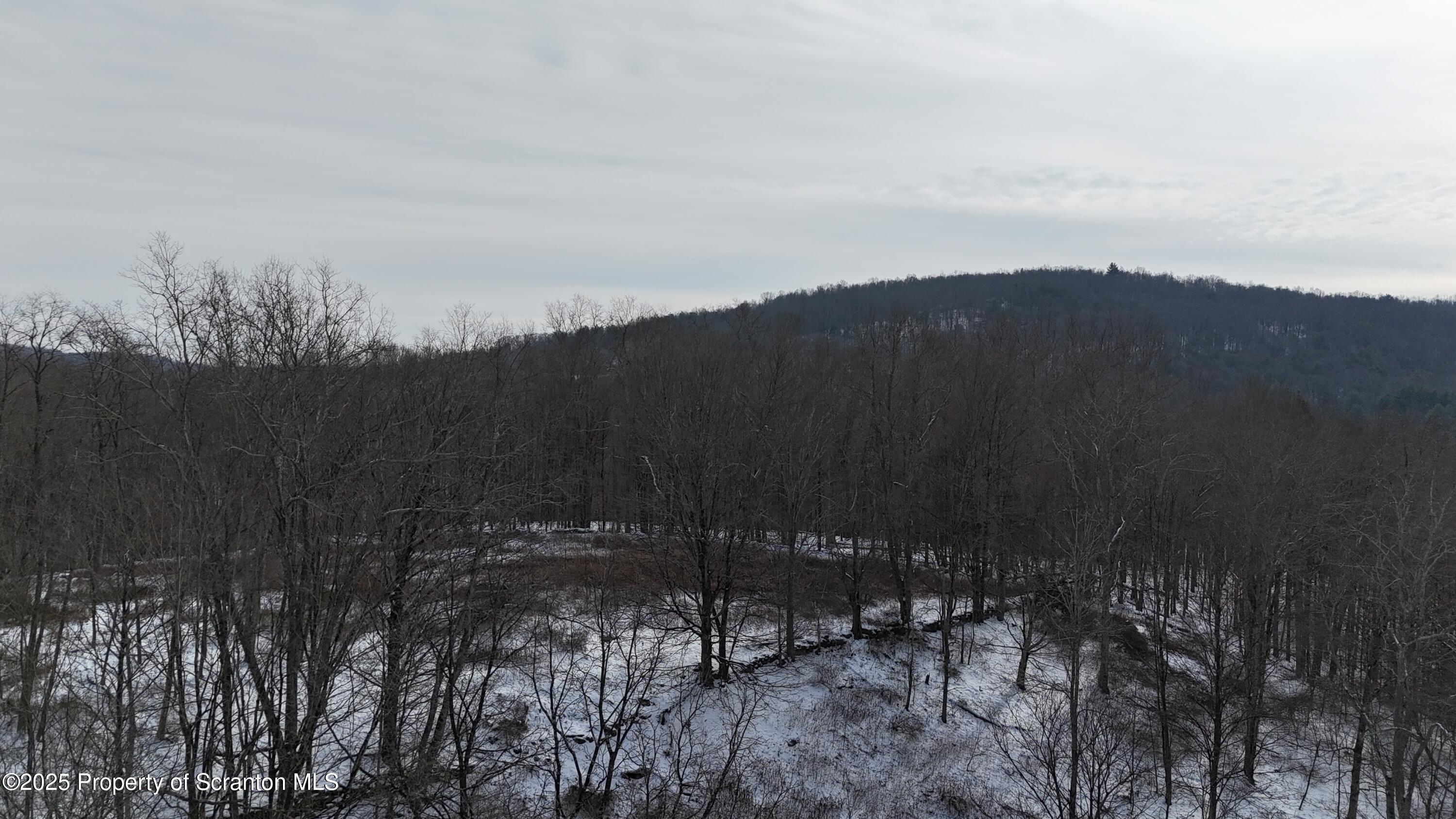 358 Barney Hollow Road Nicholson, PA 18446 - Photo 57 of 61 a view of a yard in a back yard