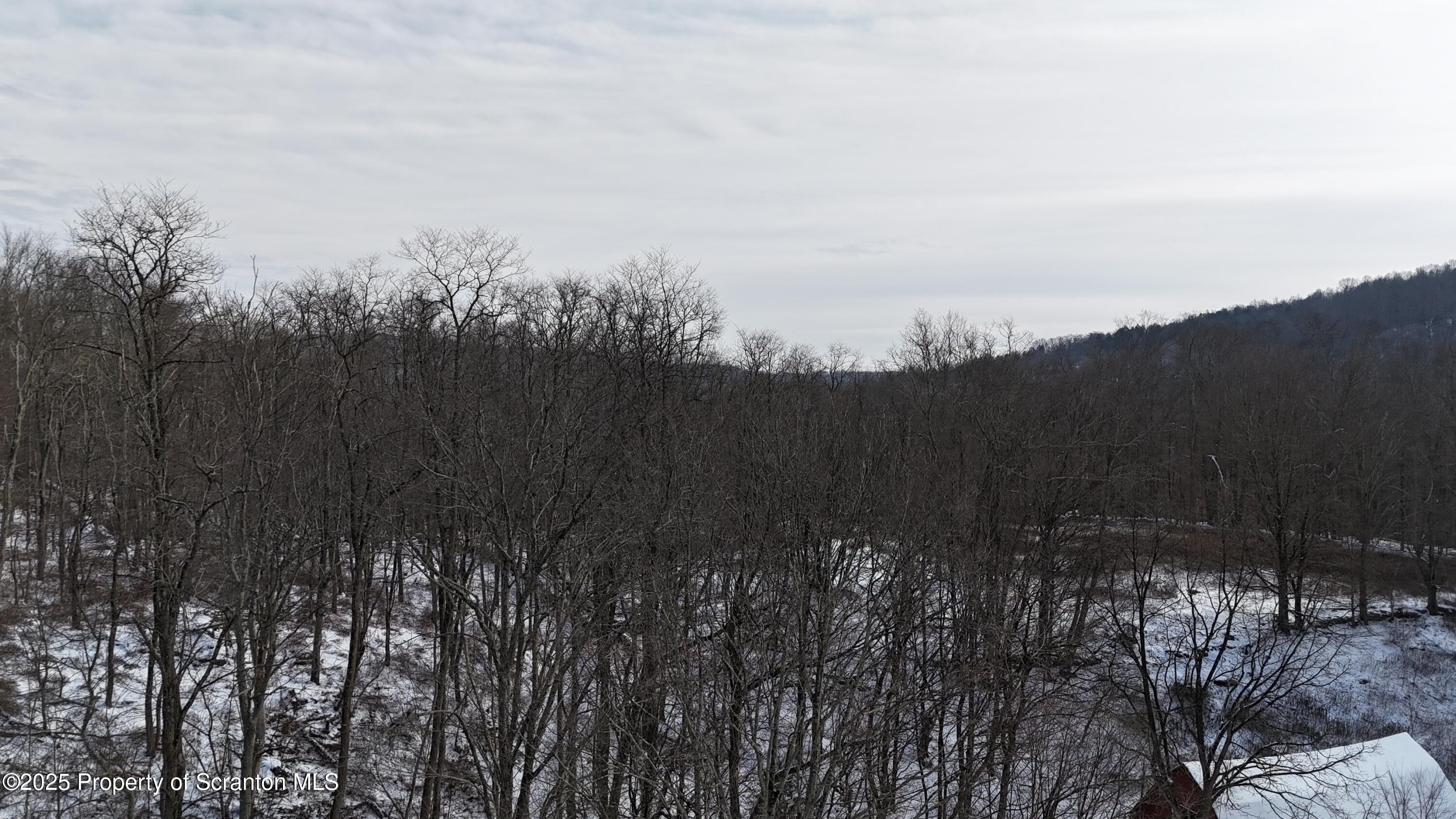 358 Barney Hollow Road Nicholson, PA 18446 - Photo 59 of 61 a view of mountain view with lots of trees