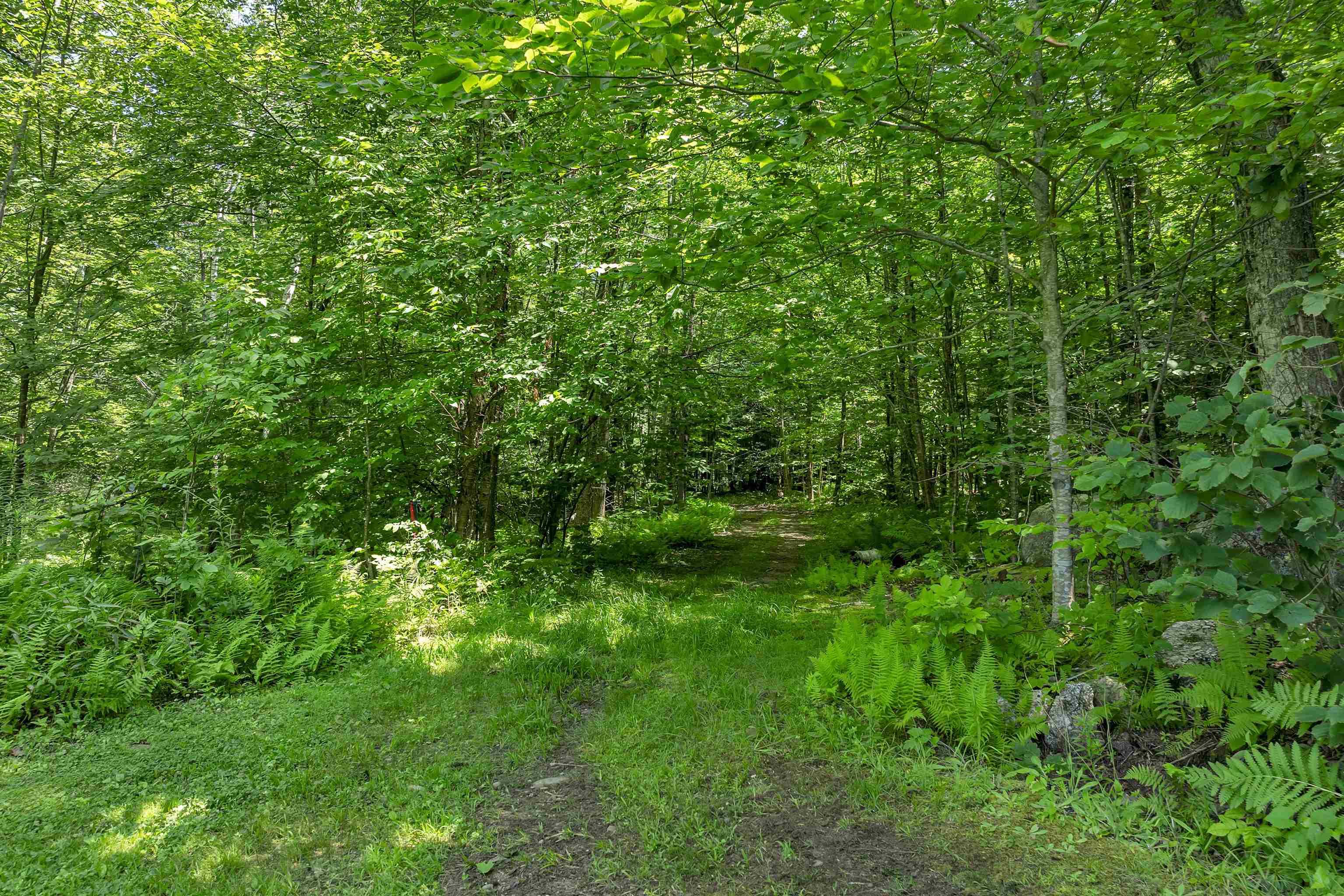 358 Roller Coaster Road Laconia, NH 03246 - Photo 5 of 33