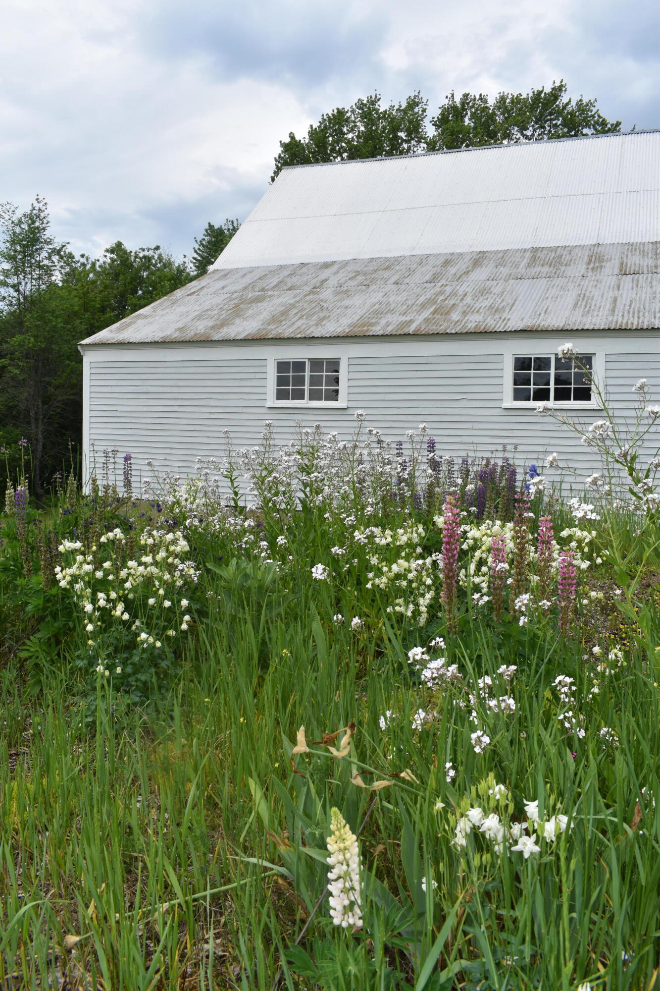 60 Old Lewiston Road Monmouth, ME 04265 - Photo 34 of 38 country garden