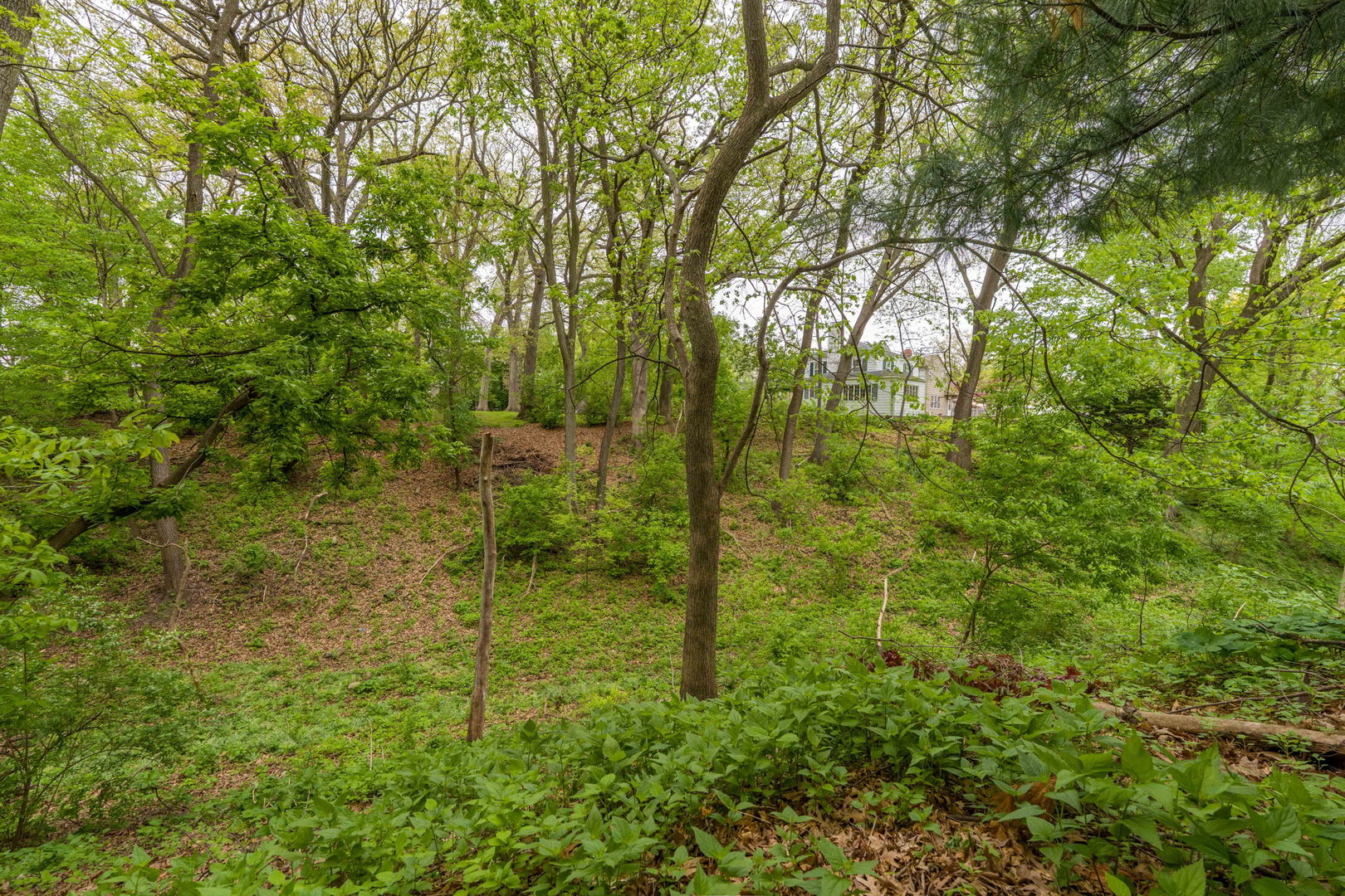 2405 27th Street Moline, IL 61265 - Photo 43 of 51
