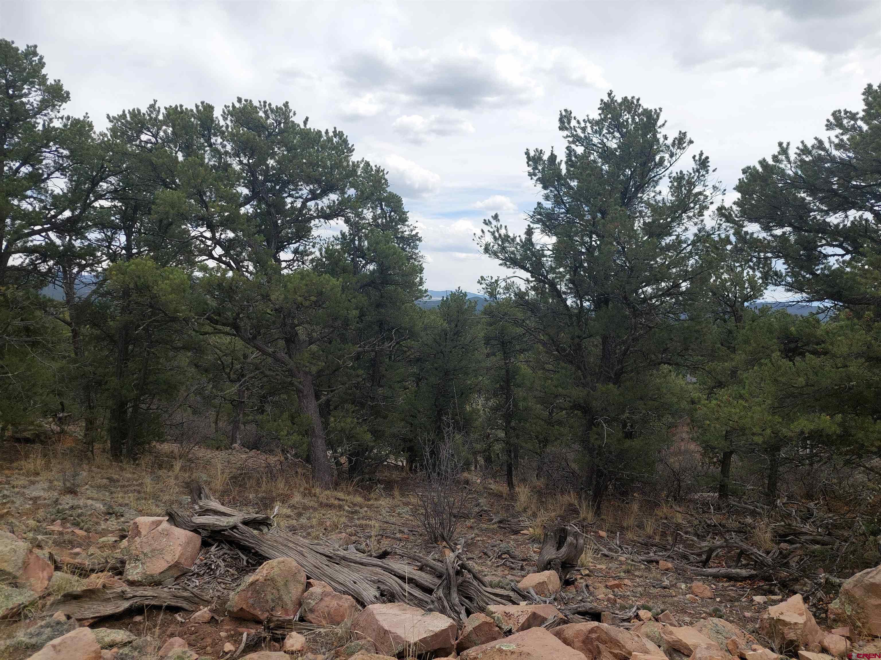 Tract-1 Tract-1 Q Path Cotopaxi, CO 81223 - Photo 19 of 22