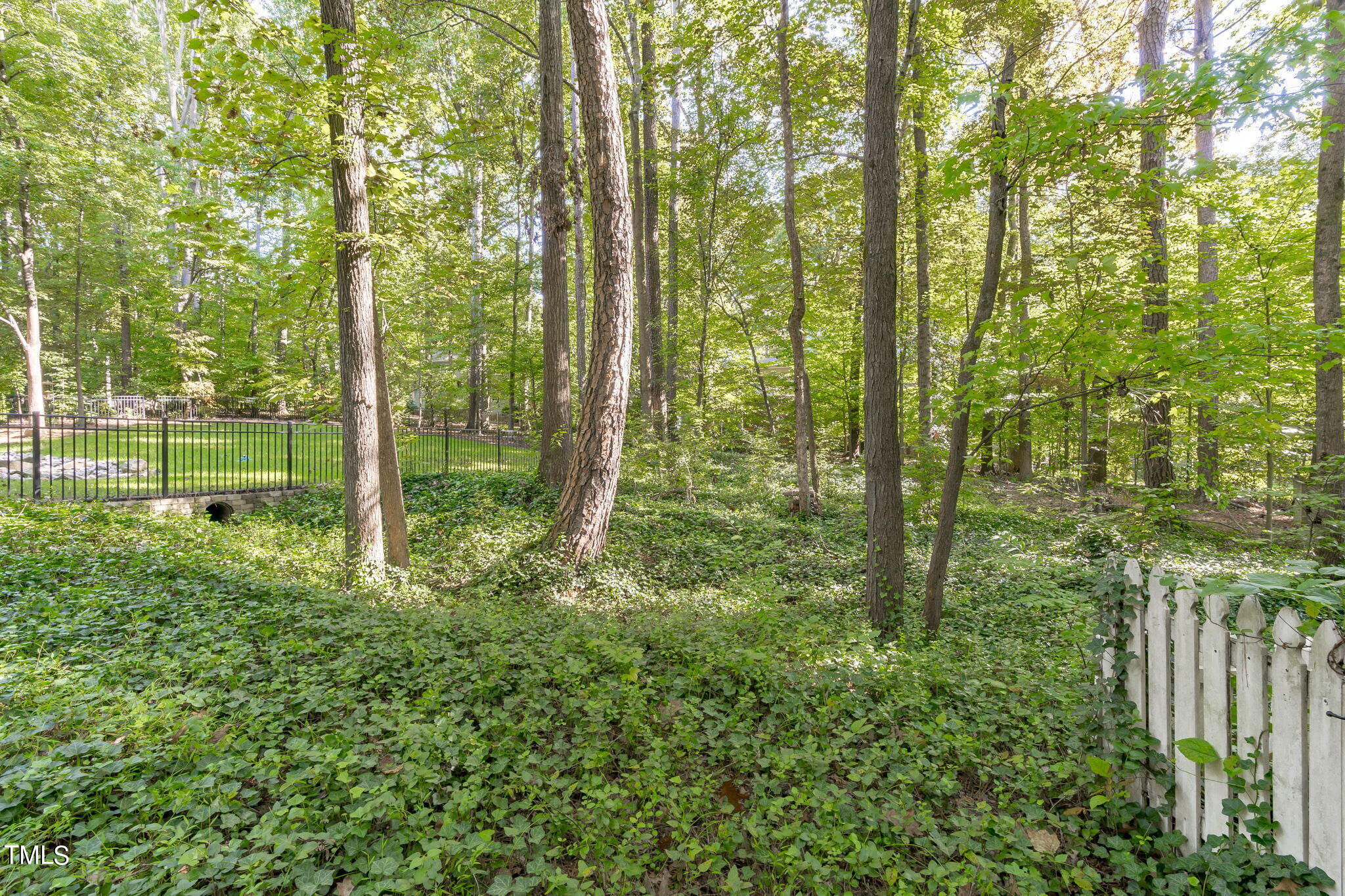 404 King George Loop Cary, NC 27511 - Photo 56 of 60 a view of outdoor space and garden