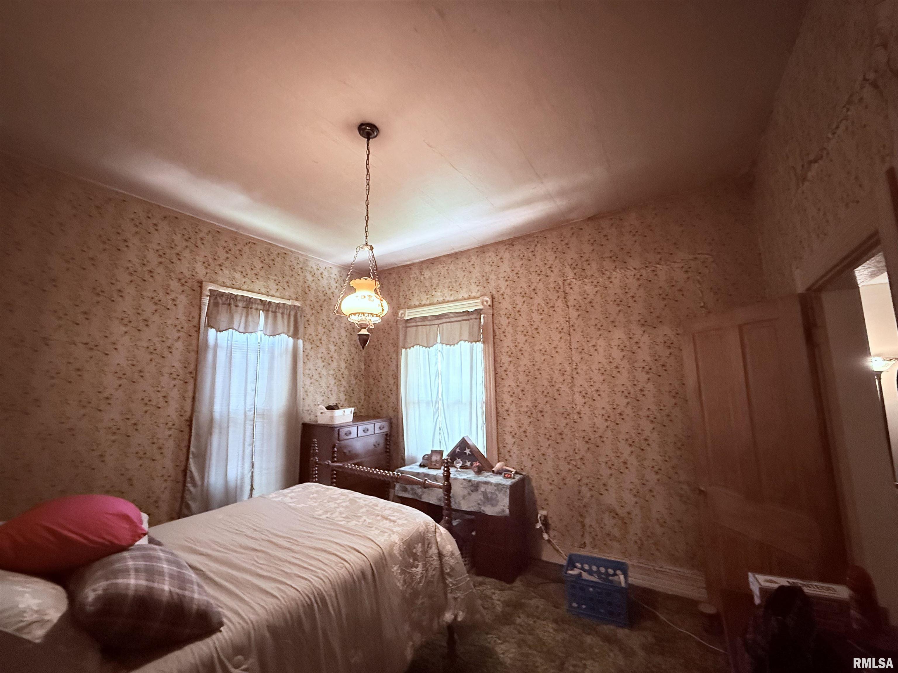 103 Baltimore Street Ridgway, IL 62979 - Photo 20 of 21