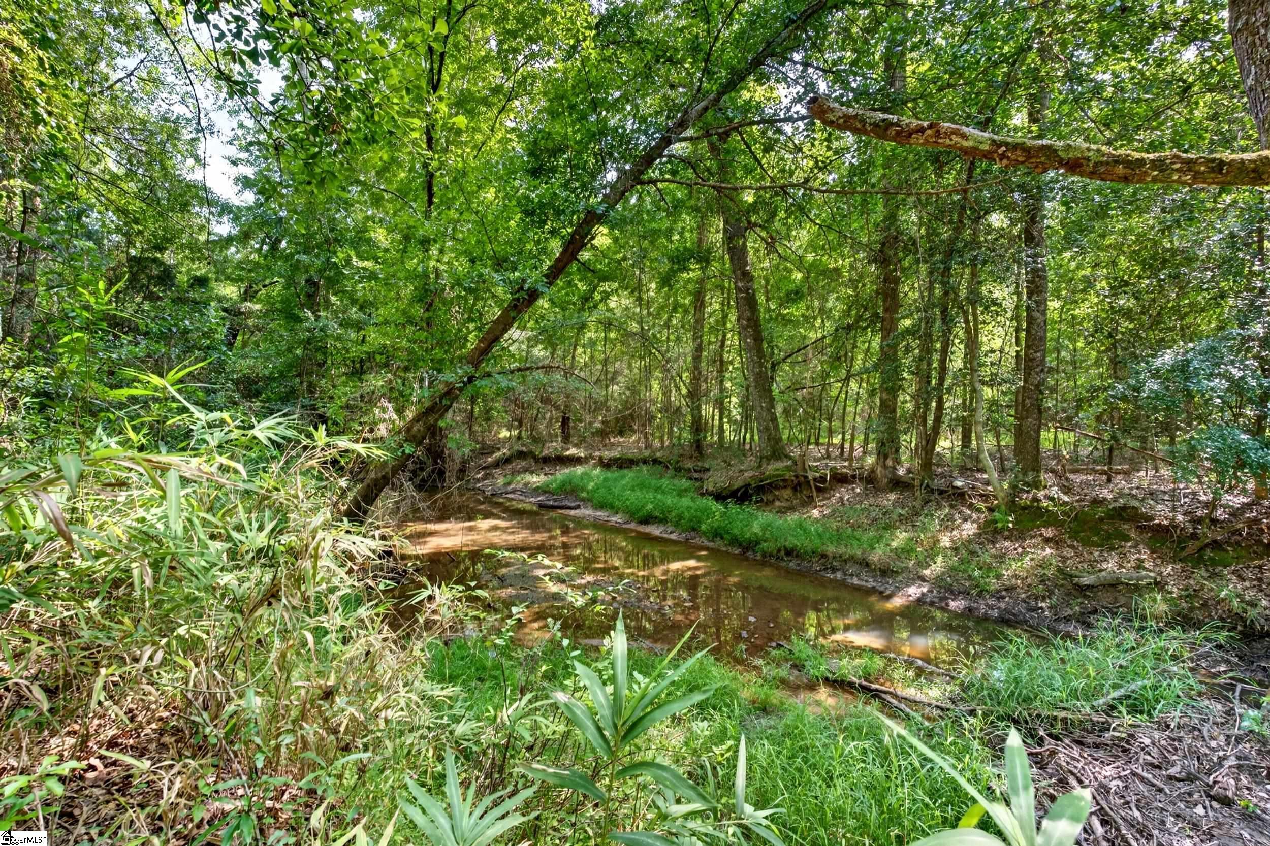 0 Todd Road Honea Path, SC 29654 - Photo 13 of 26 Gallery Image 13