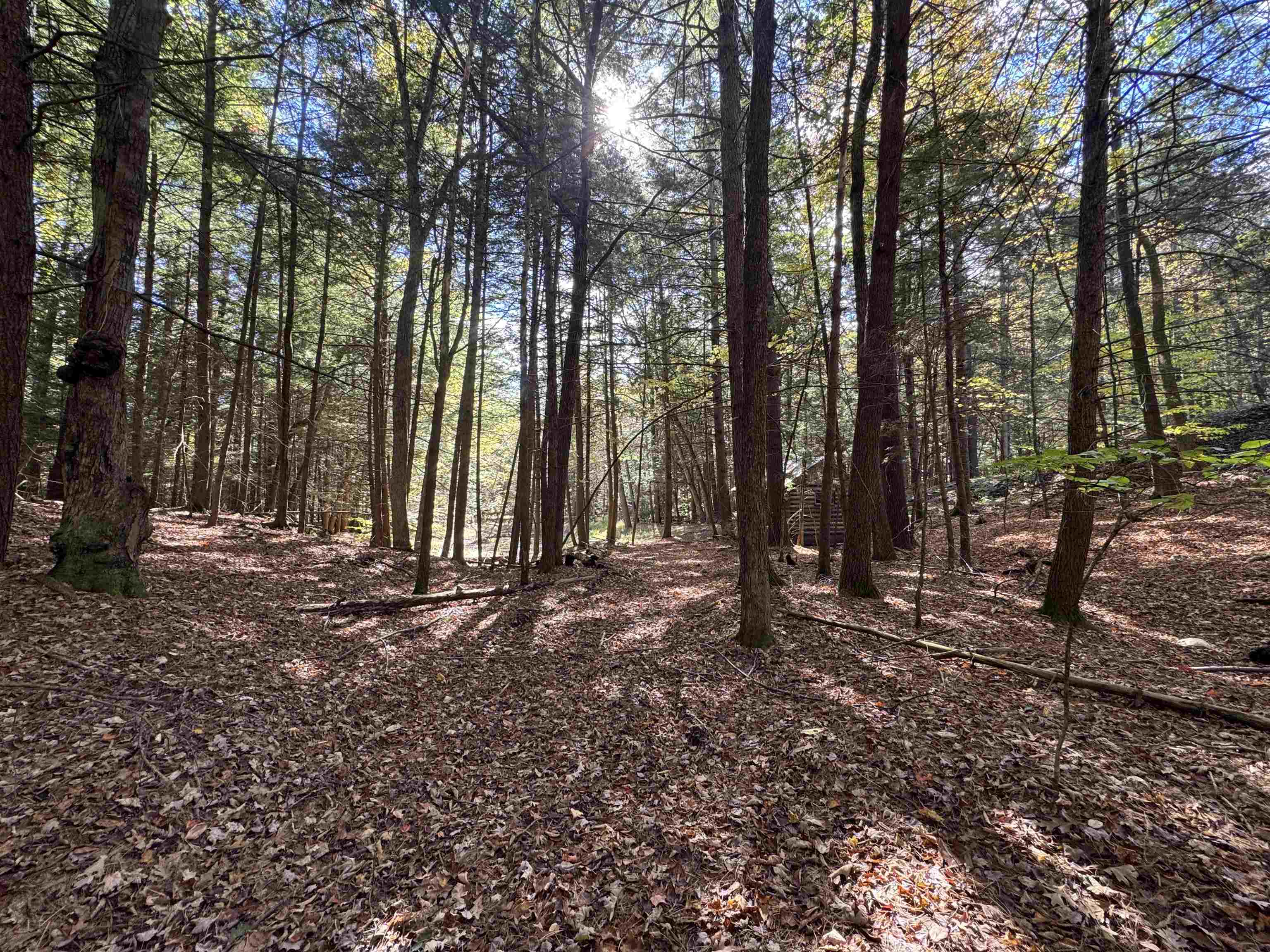 236 Hall Bridge Road Rockingham, VT 05101 - Photo 11 of 39