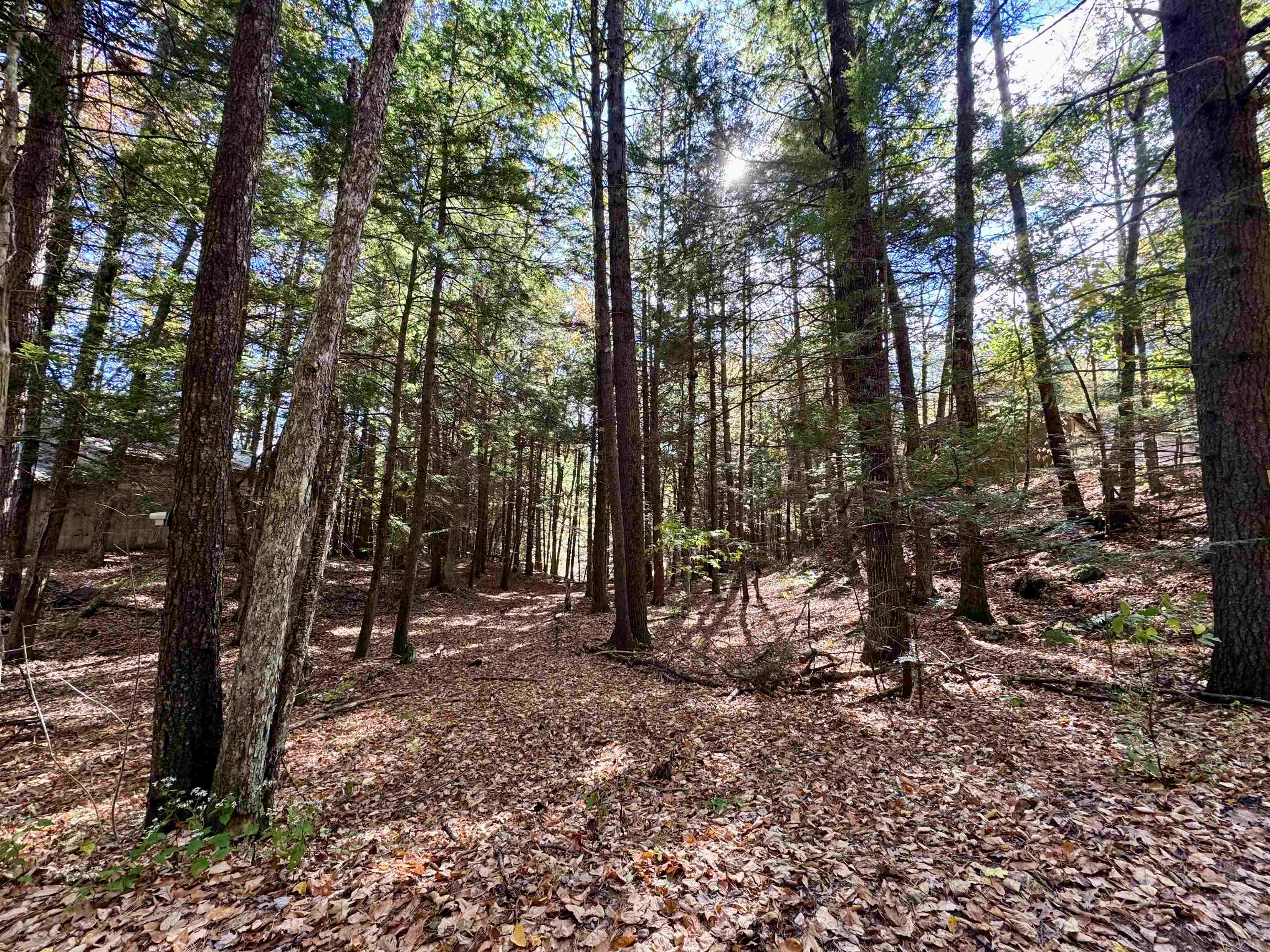 236 Hall Bridge Road Rockingham, VT 05101 - Photo 13 of 39