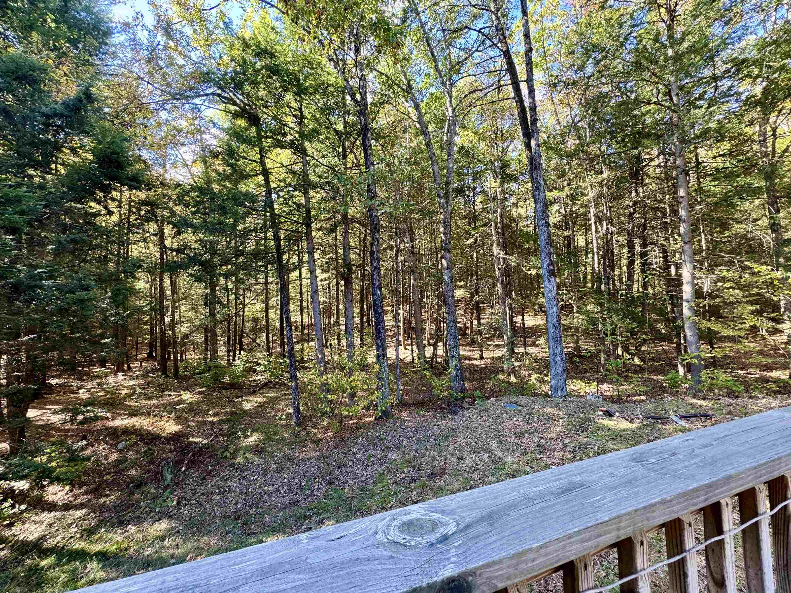 236 Hall Bridge Road Rockingham, VT 05101 - Photo 17 of 39