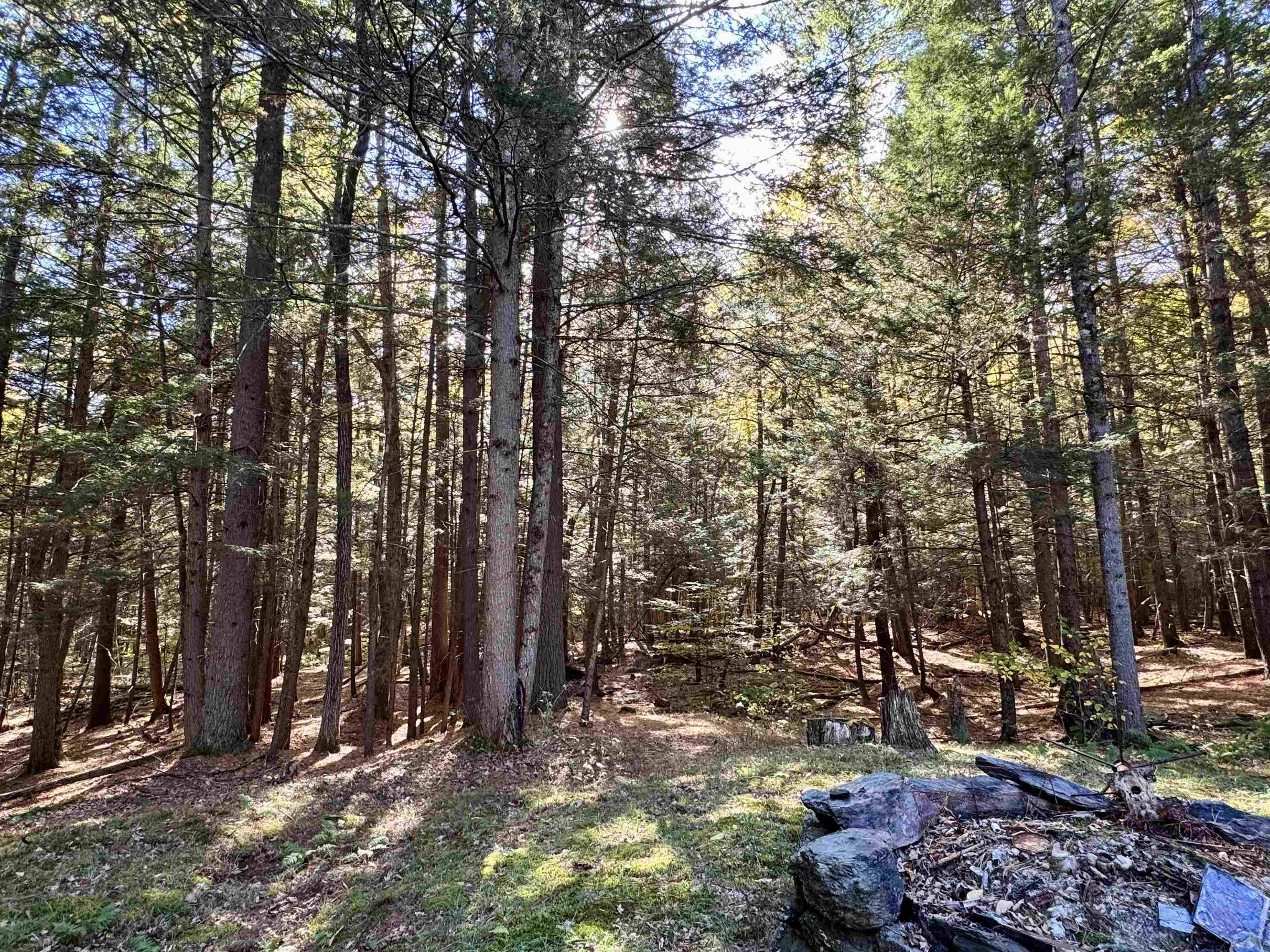 236 Hall Bridge Road Rockingham, VT 05101 - Photo 33 of 39