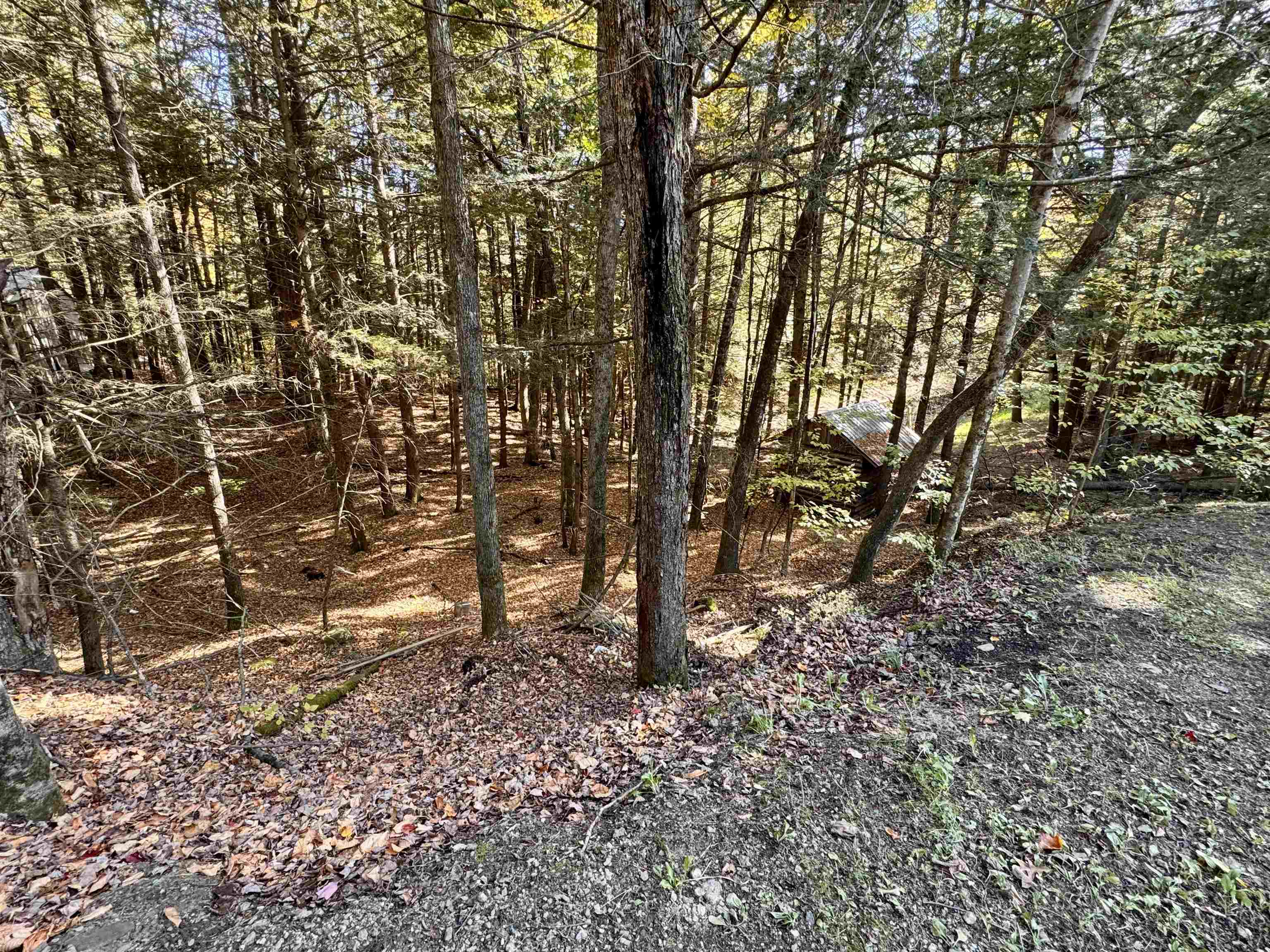 236 Hall Bridge Road Rockingham, VT 05101 - Photo 7 of 39