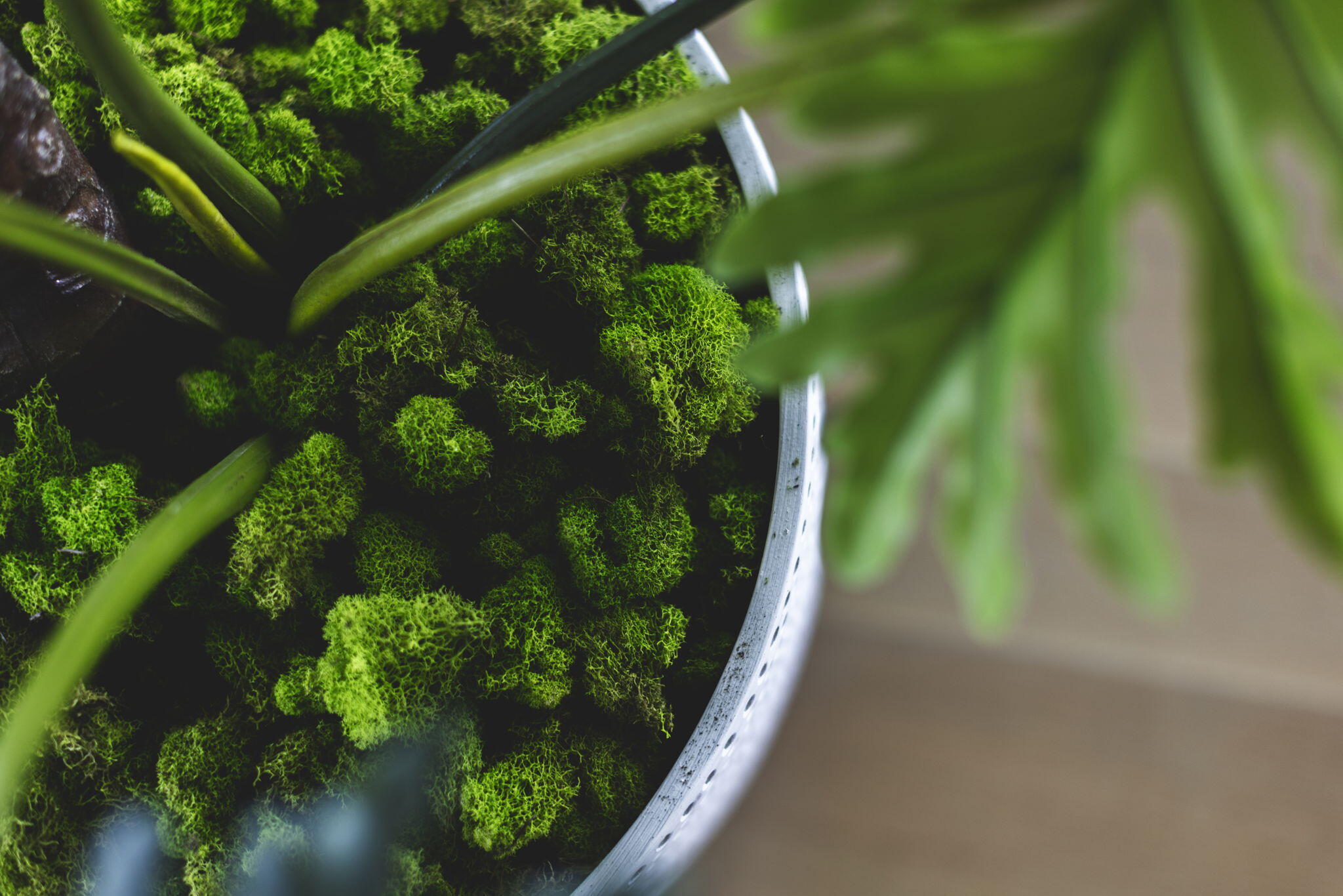 124 Paradise By The Sea Boulevard Inlet Beach, FL 32461 - Photo 10 of 115 15-web-or-mls-075A8392 copy