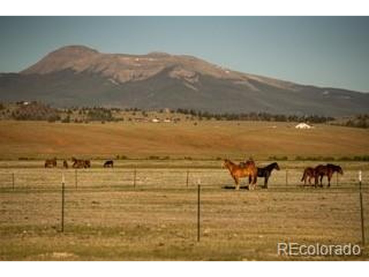 33185 9th Hartsel, CO 80449 - Photo 10 of 17