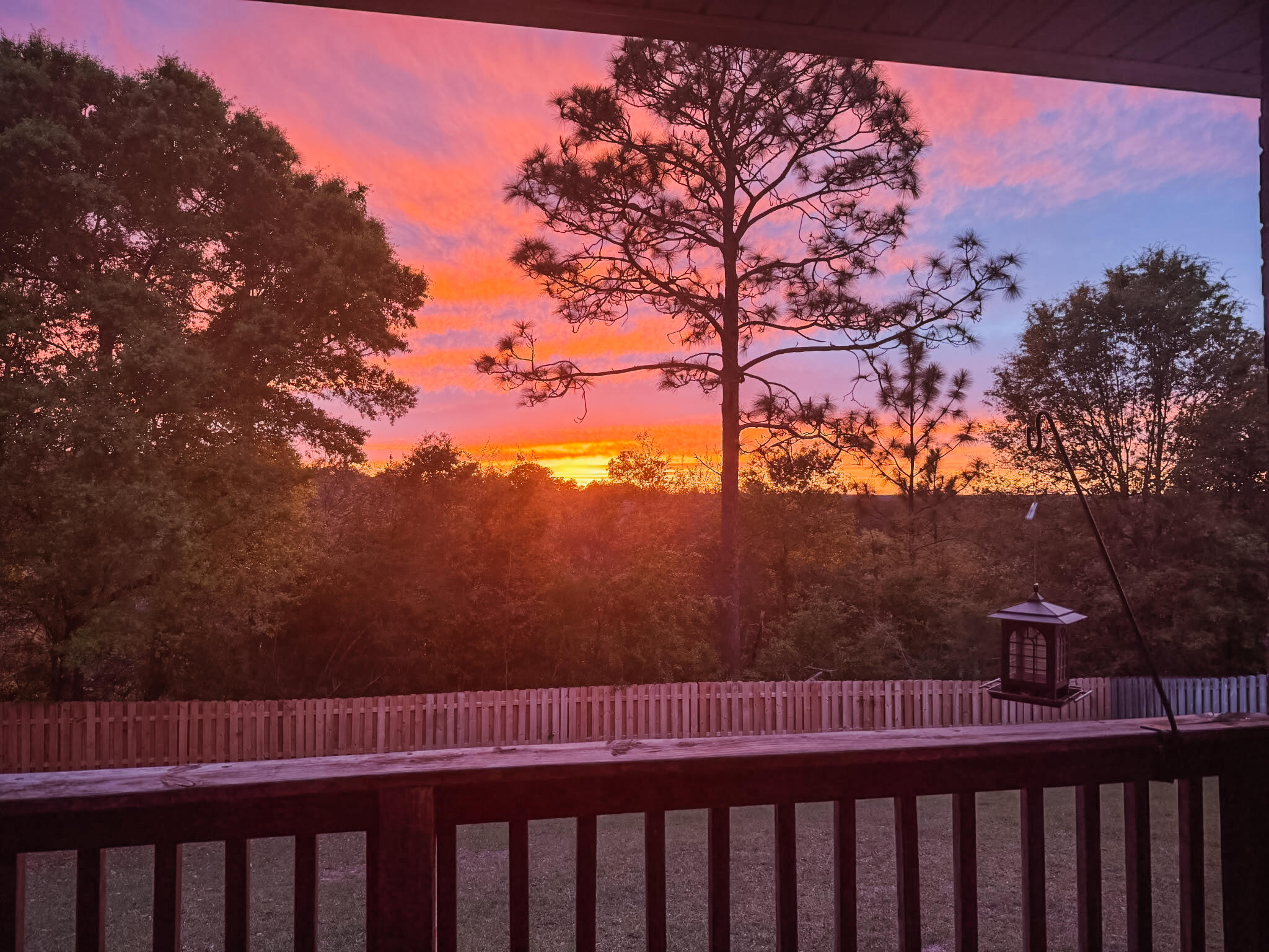509 Pheasant Trail Crestview, FL 32536 - Photo 29 of 29 a view of a yard with a tree