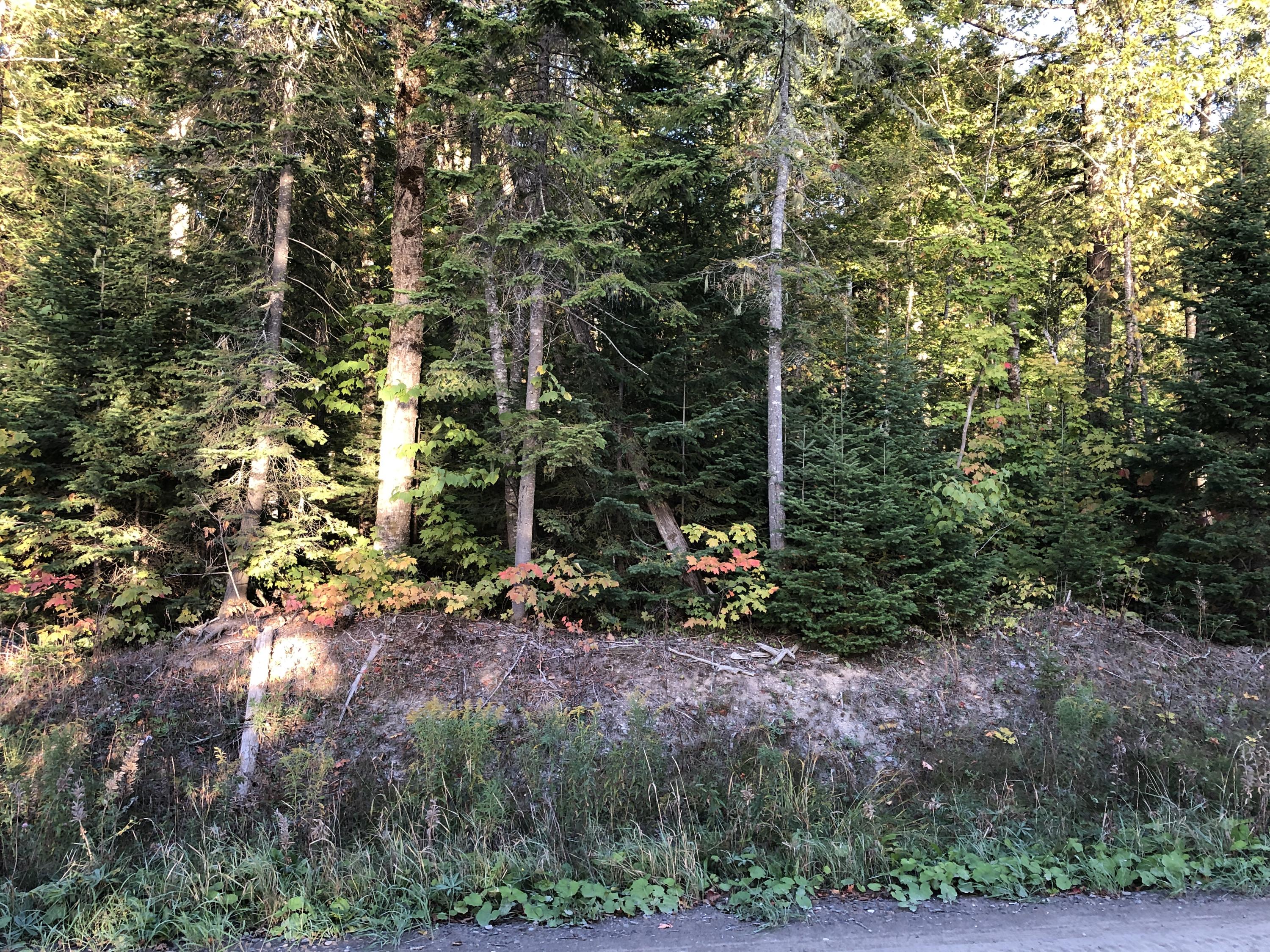 691 Little Madawaska Lake Road Stockholm, ME 04783 - Photo 21 of 21 691 Little Madawaska Lake Westmanland (7