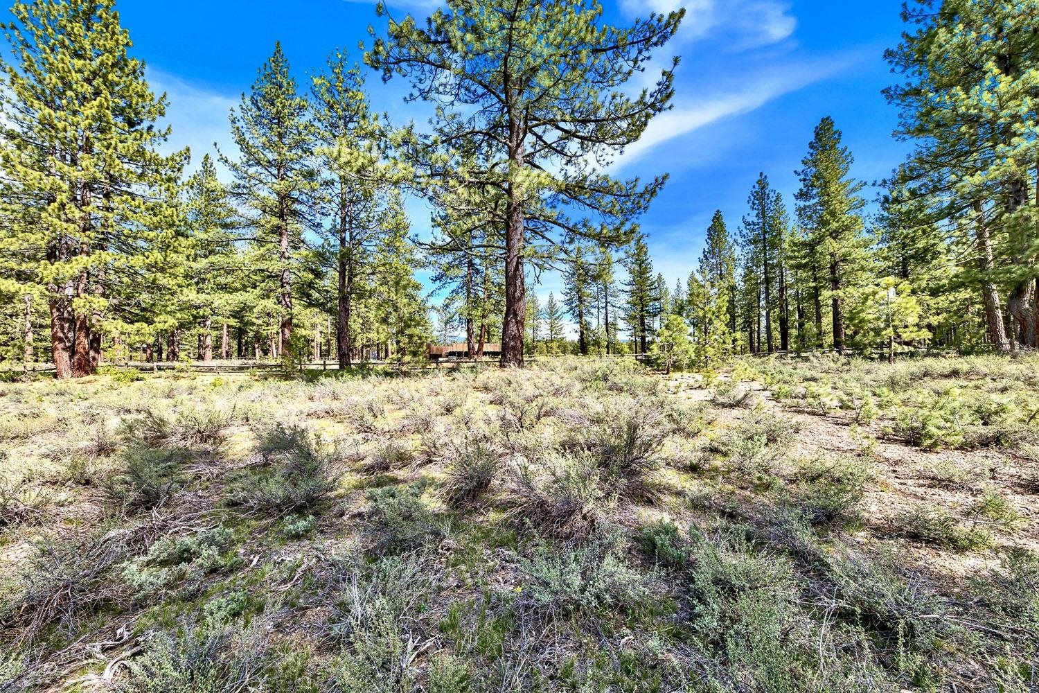 11199 Henness Road Truckee, CA 96161 - Photo 6 of 19