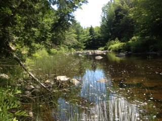 0 Bud Grant Road Monroe, ME 04951 - Photo 2 of 17 Photo