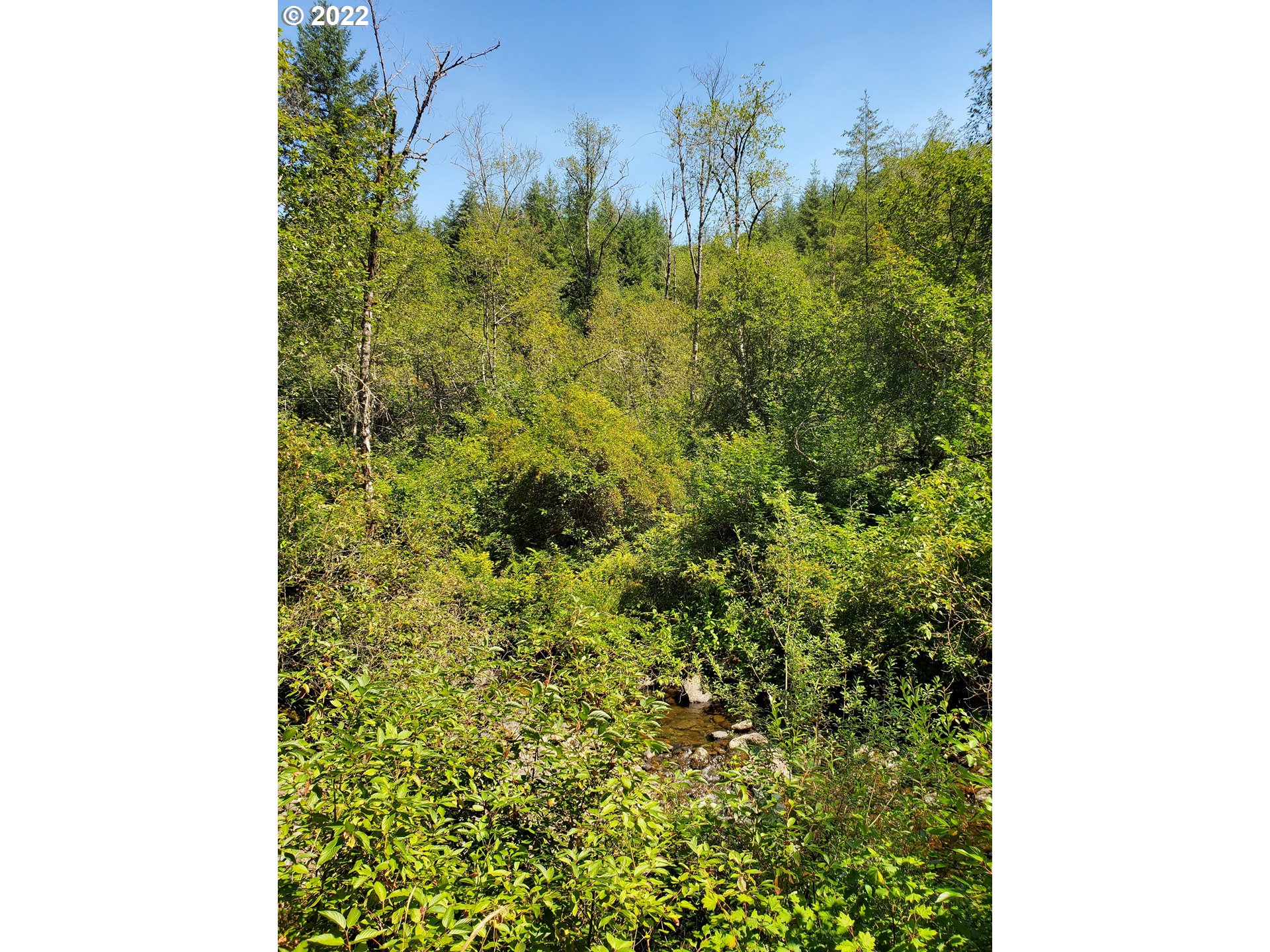2 Northeast Boulder Creek Road Camas, WA 98607 - Photo 11 of 12
