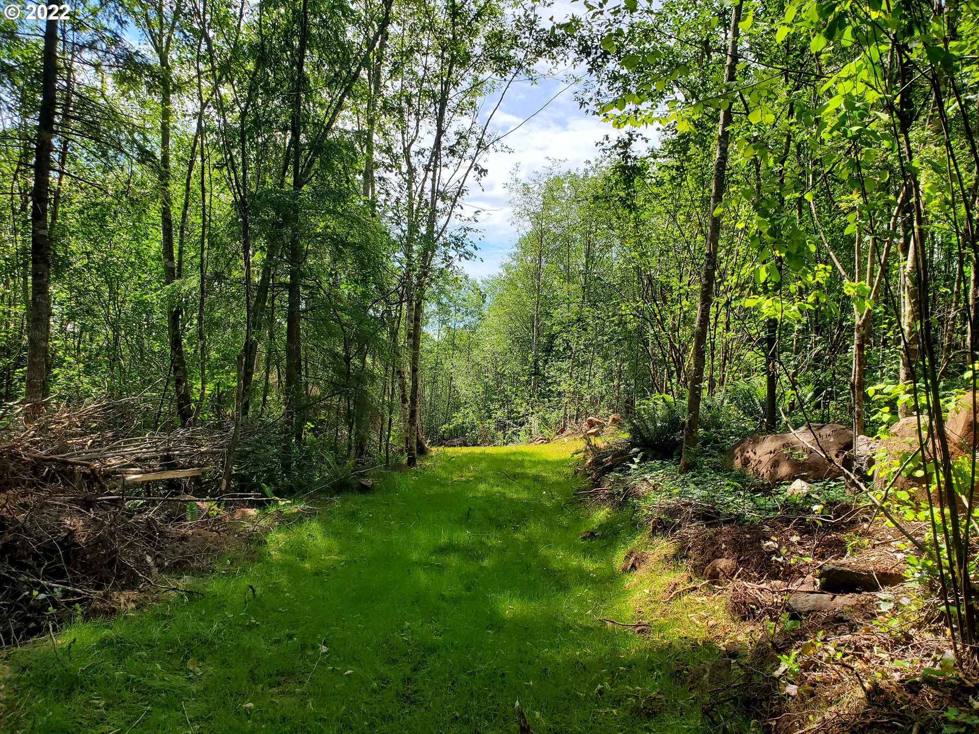 2 Northeast Boulder Creek Road Camas, WA 98607 - Photo 4 of 12