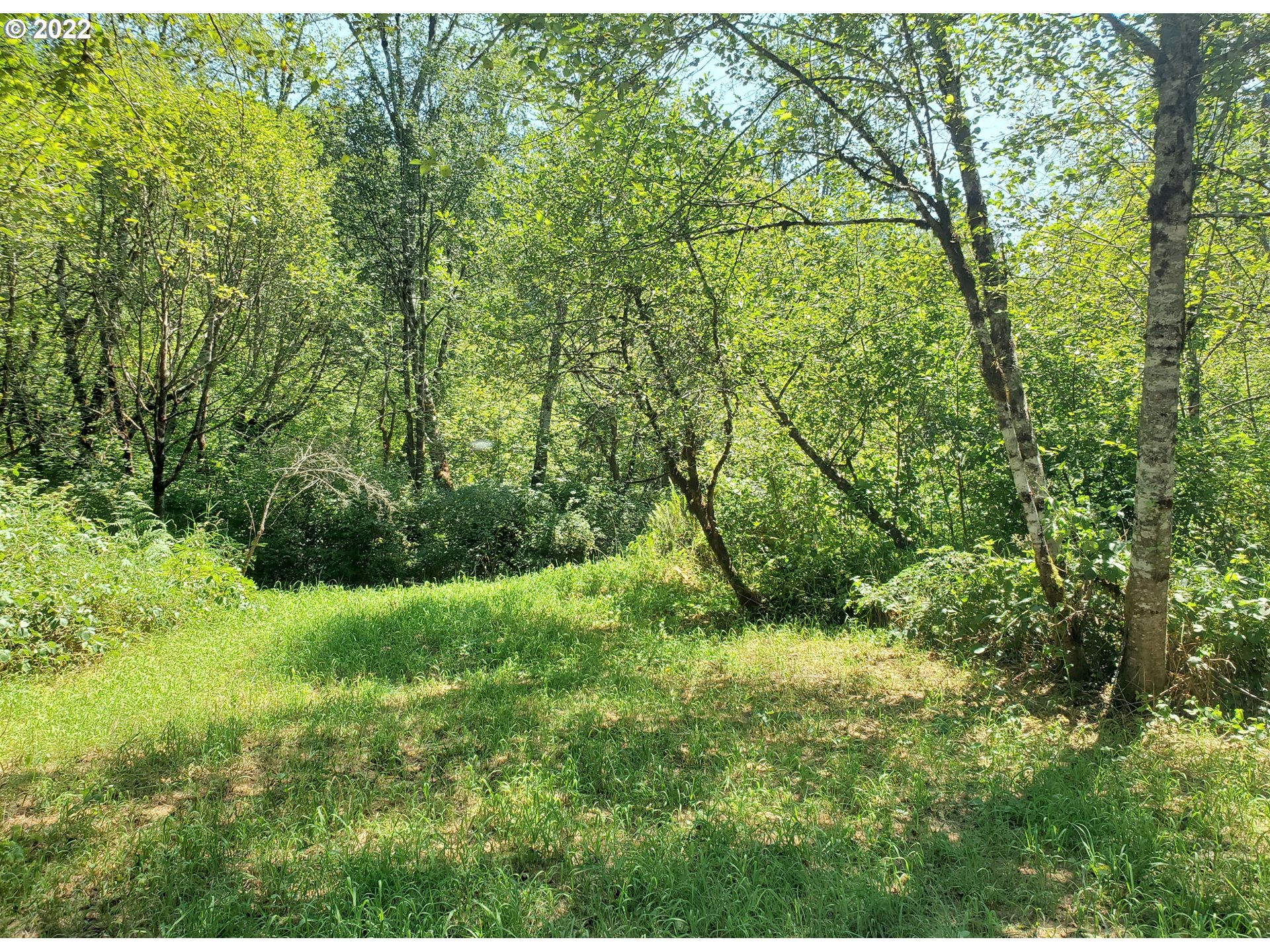 2 Northeast Boulder Creek Road Camas, WA 98607 - Photo 7 of 12