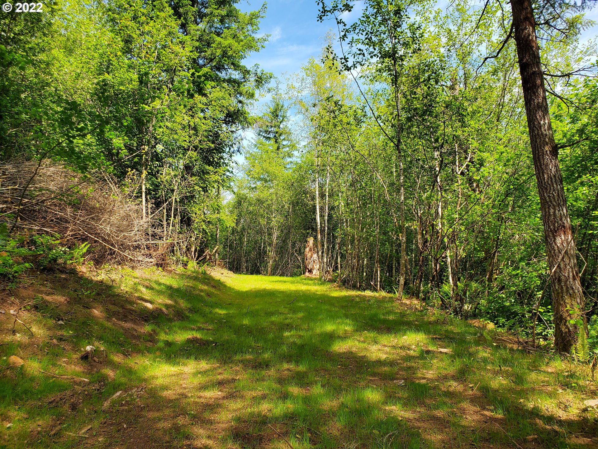 2 Northeast Boulder Creek Road Camas, WA 98607 - Photo 8 of 12