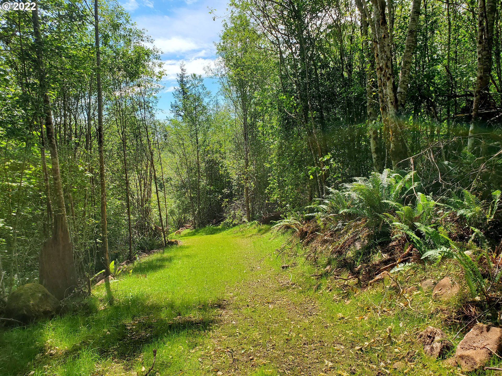 2 Northeast Boulder Creek Road Camas, WA 98607 - Photo 9 of 12