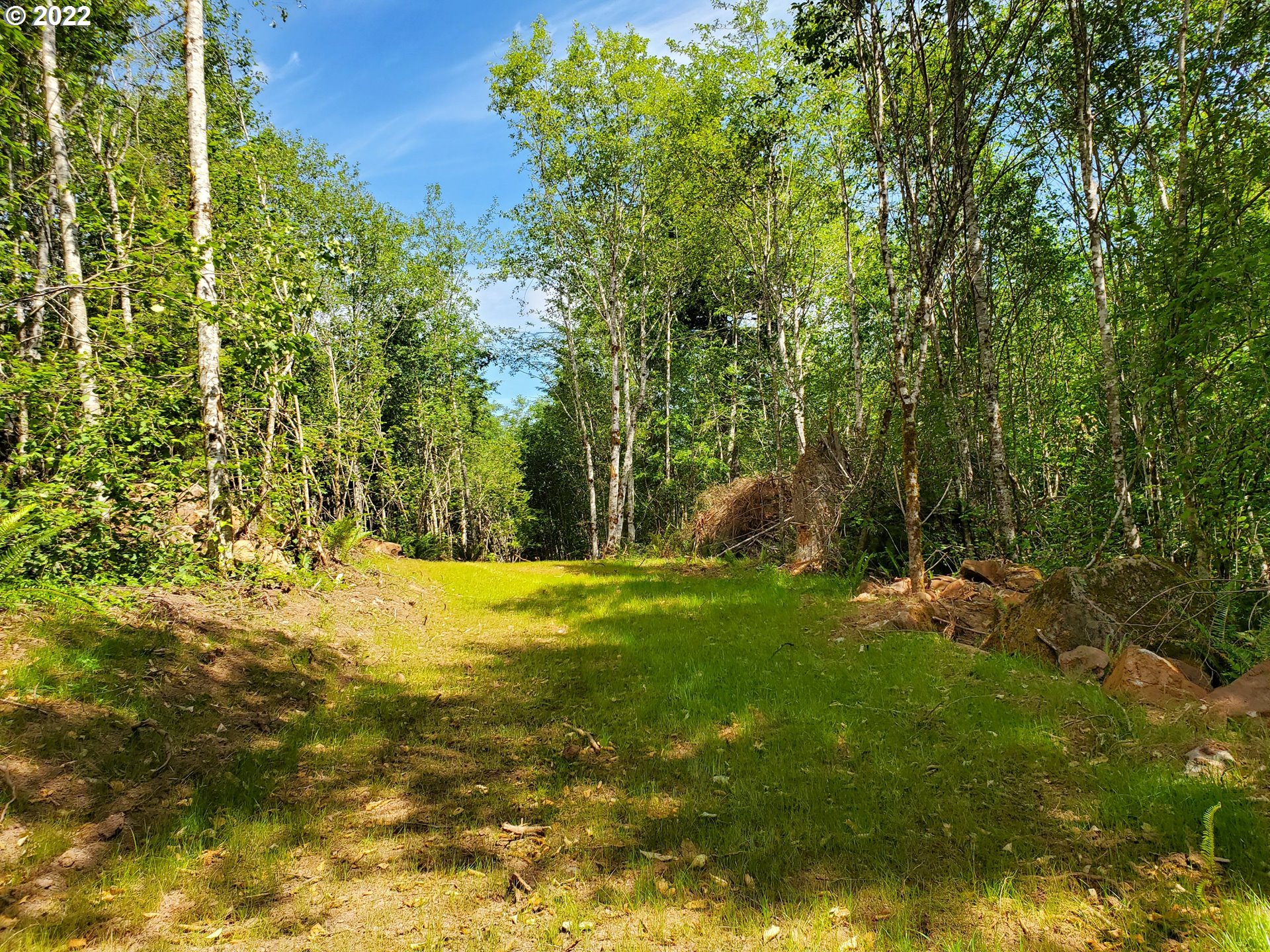 2 Northeast Boulder Creek Road Camas, WA 98607 - Photo 10 of 12