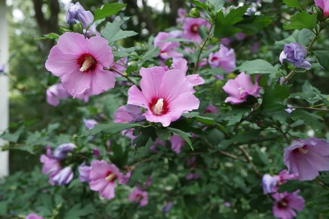 $625,000 | 129 Haverhill Road, East Kingston, NH 03827