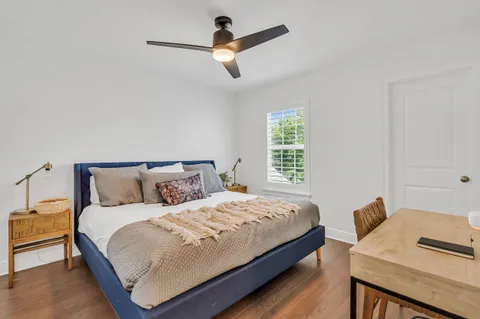 a living room with a couch and a potted plant