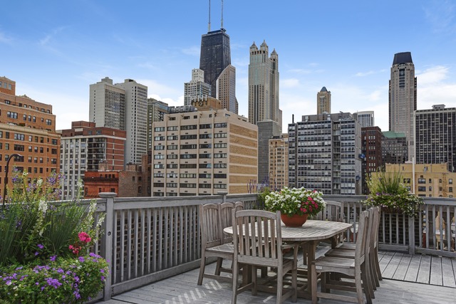 6 East Scott Street, Unit 6 Chicago, IL 60610 - Photo 20 of 25 a view of a city with tall buildings