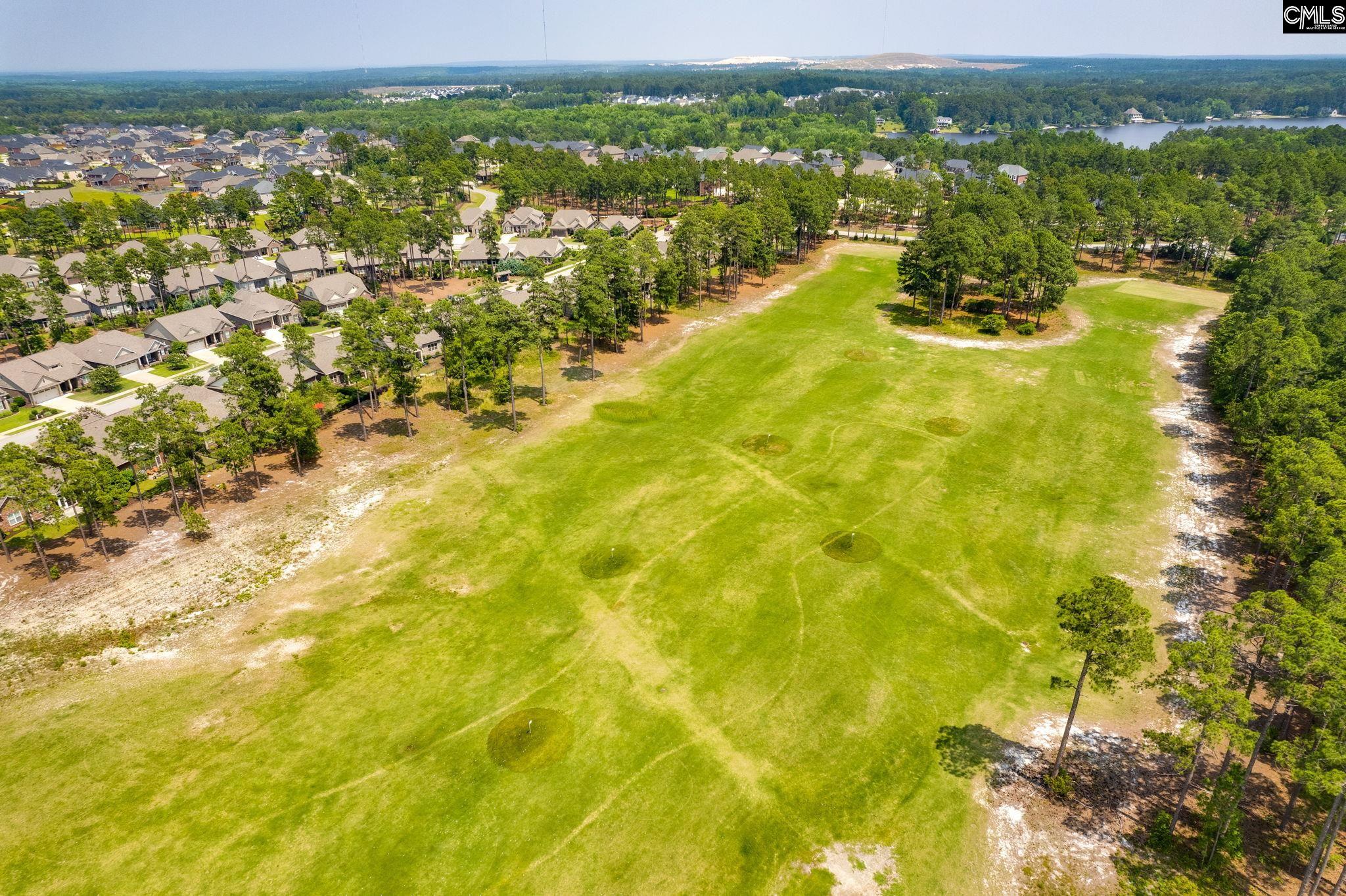 166 Backspin Drive Elgin, SC 29045 - Photo 54 of 55