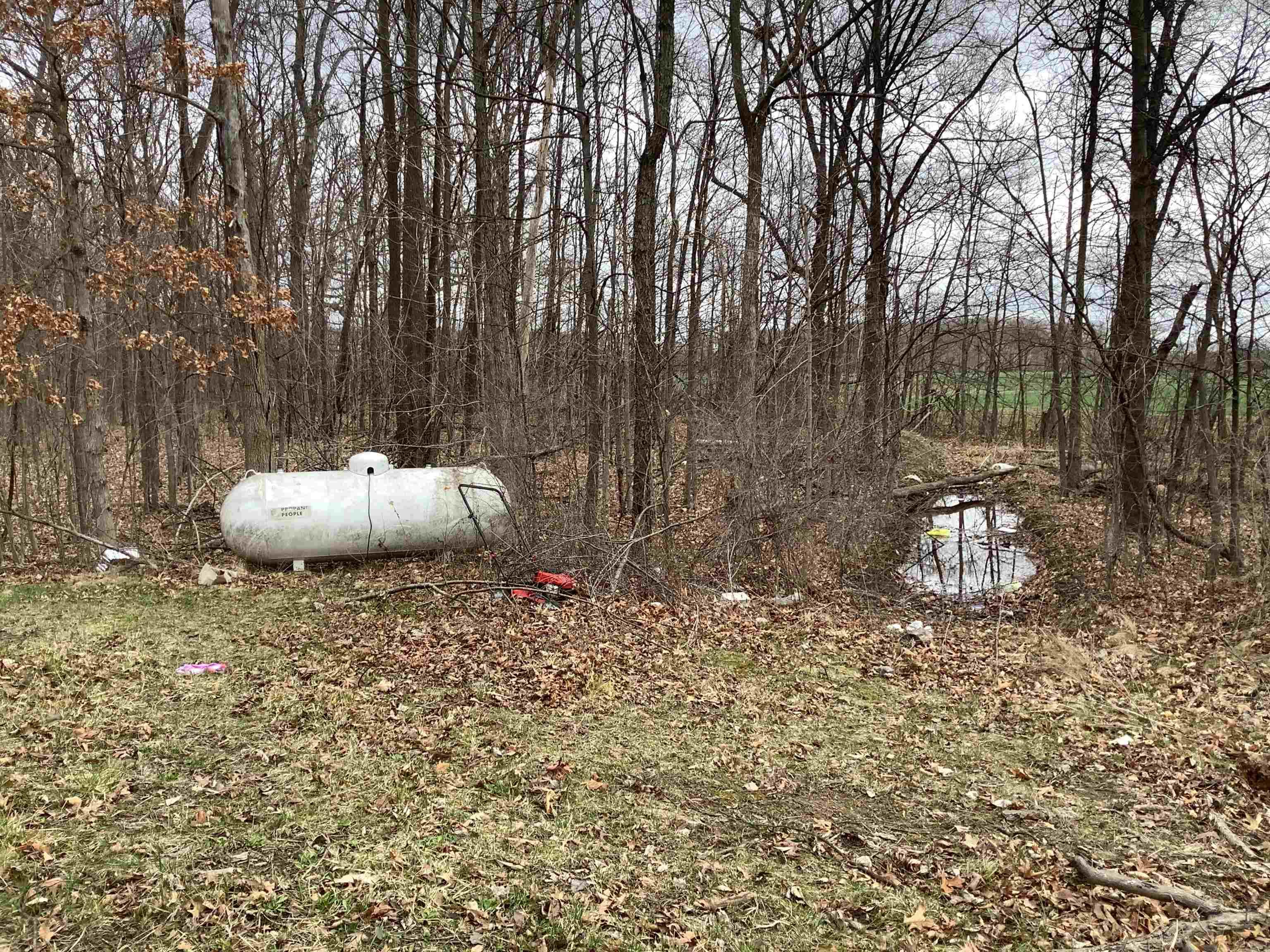 6897 County Road 44 Butler, IN 46721 - Photo 3 of 3