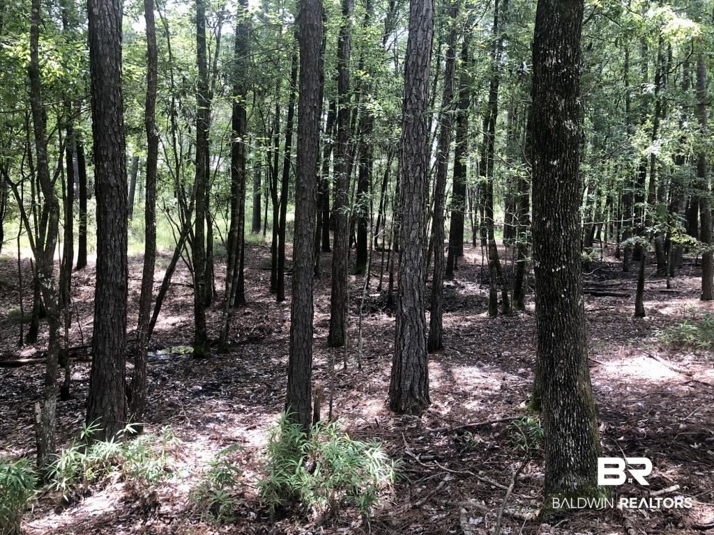 0 Bud Odom Road Deer Park, AL 36529 - Photo 9 of 50