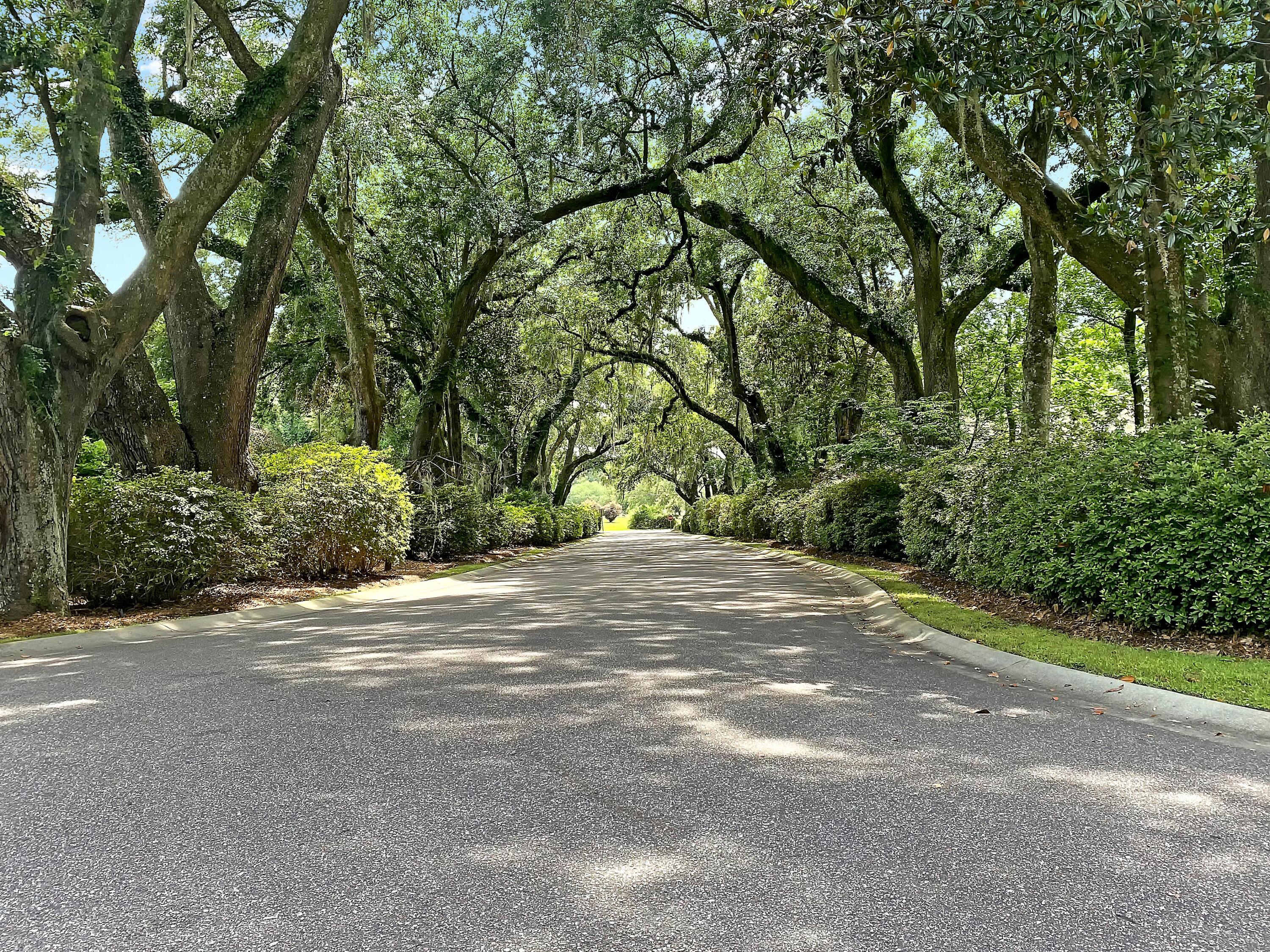 608 Fair Spring Drive Charleston, SC 29414 - Photo 2 of 49 CREM_Schieveling Plantation Amenities_01