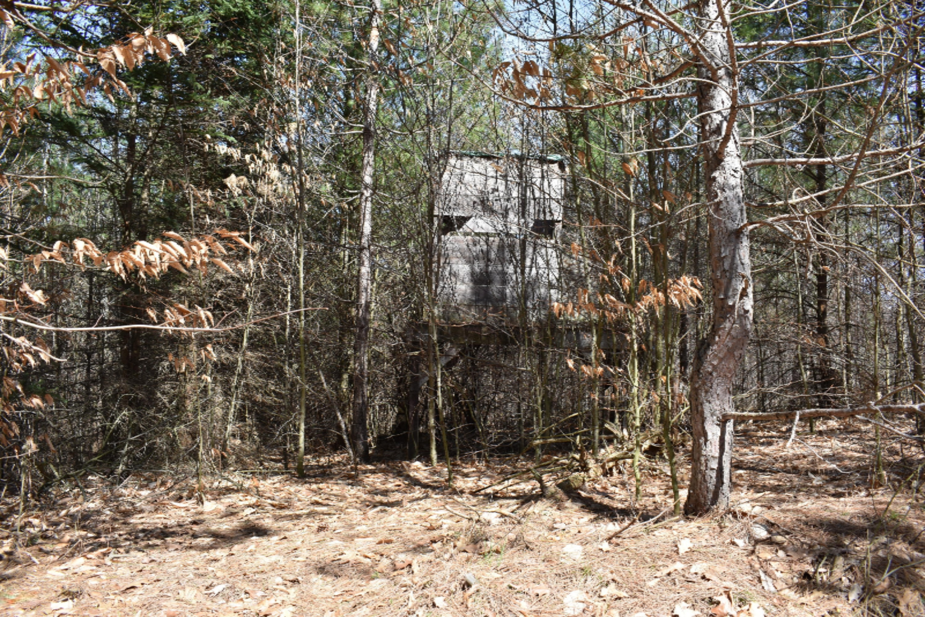 2955 East 14 Mile Road Bitely, MI 49309 - Photo 20 of 36 DSC_0928