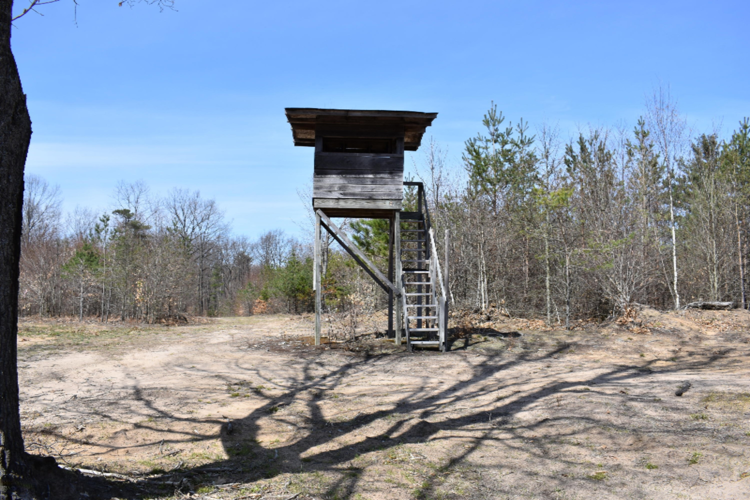 2955 East 14 Mile Road Bitely, MI 49309 - Photo 31 of 36 DSC_0916