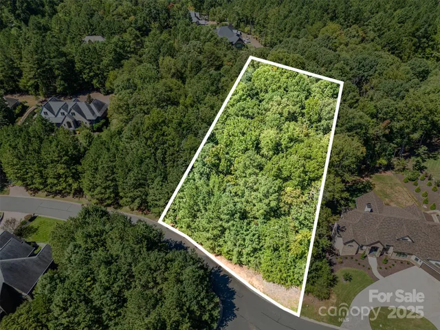 an aerial view of a garden