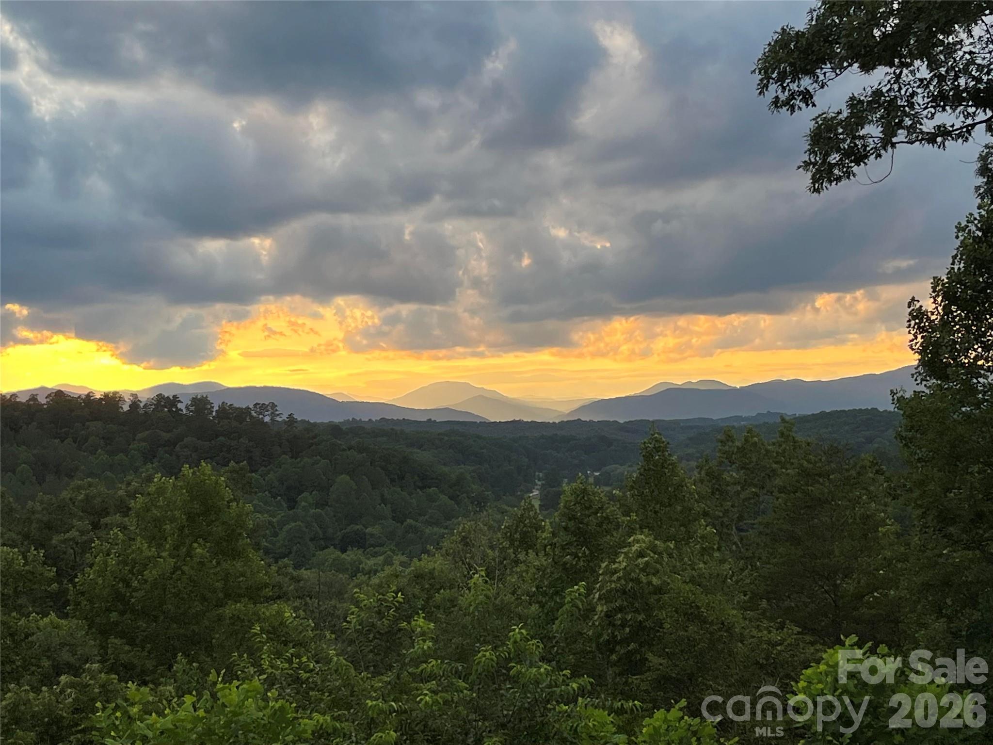 265 Willow Pond Road Rutherfordton, NC 28139 - Photo 5 of 48