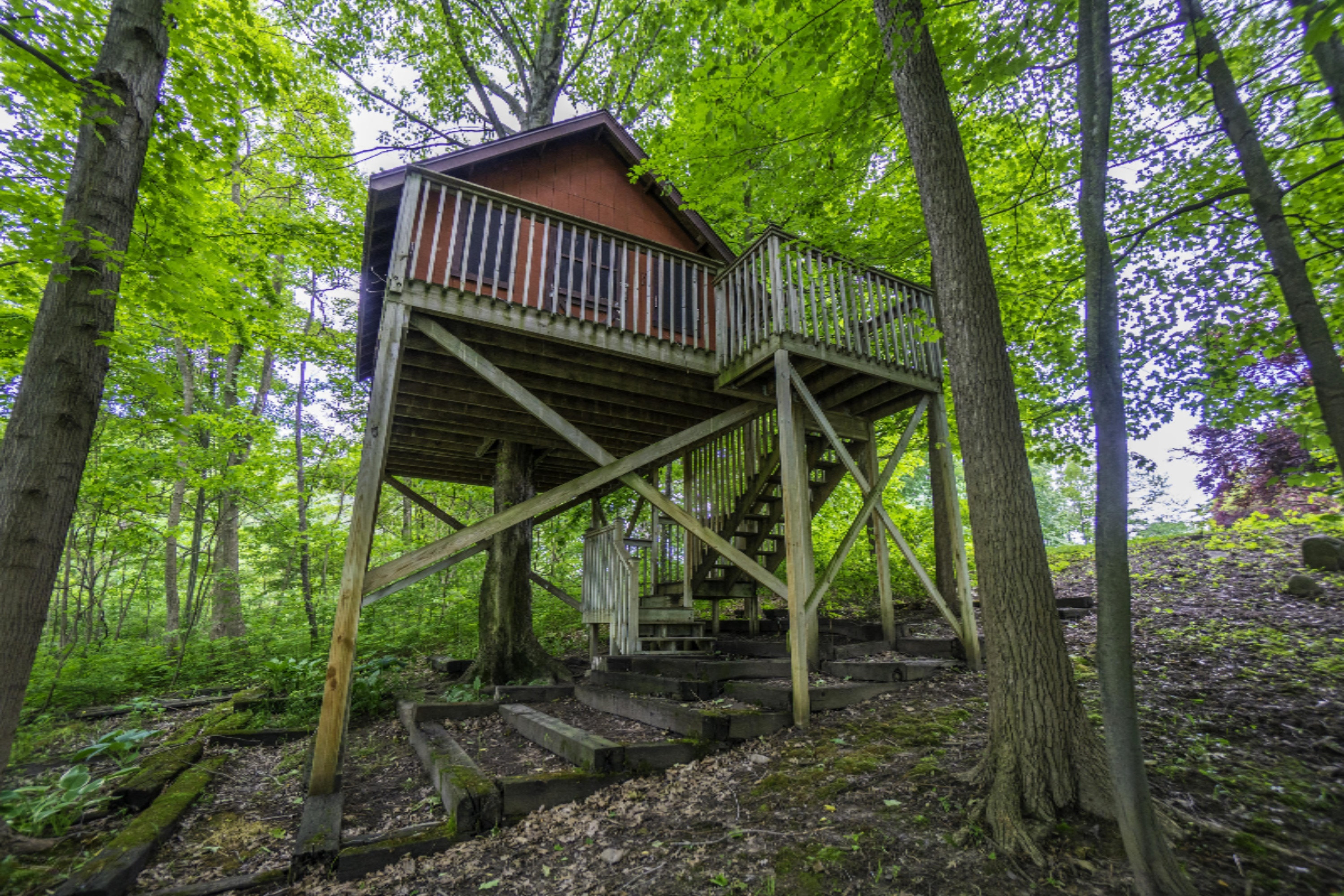 1594 Buffalo Road Galien, MI 49113 - Photo 86 of 108 22-96