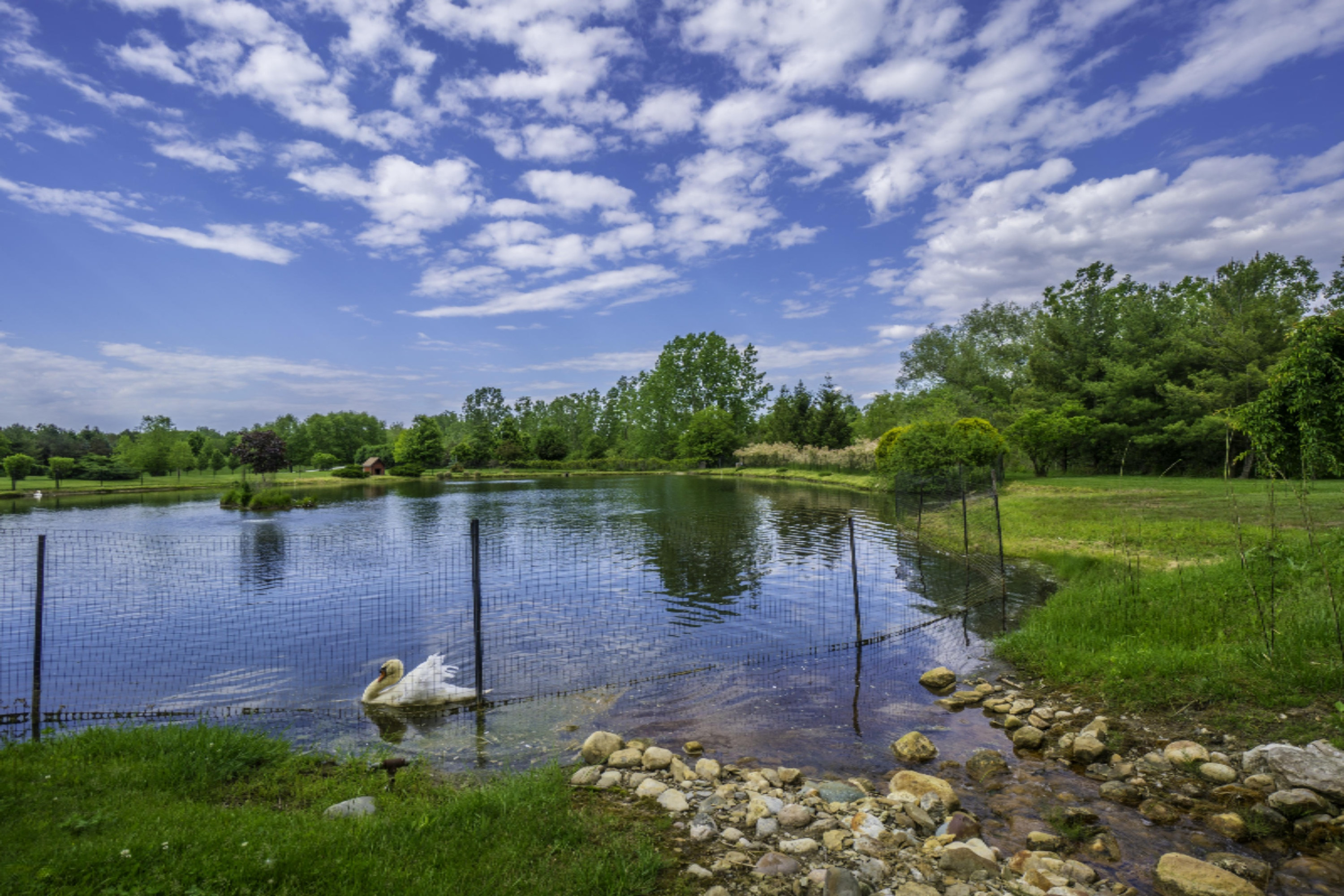 1594 Buffalo Road Galien, MI 49113 - Photo 88 of 108 22-98