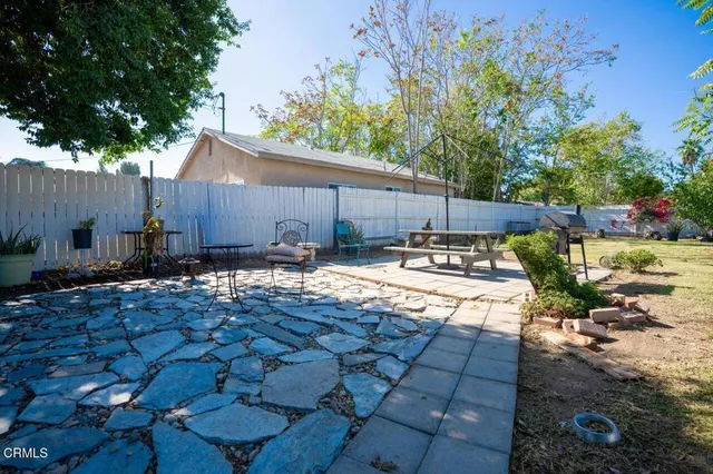 a view of a backyard with plants and tree